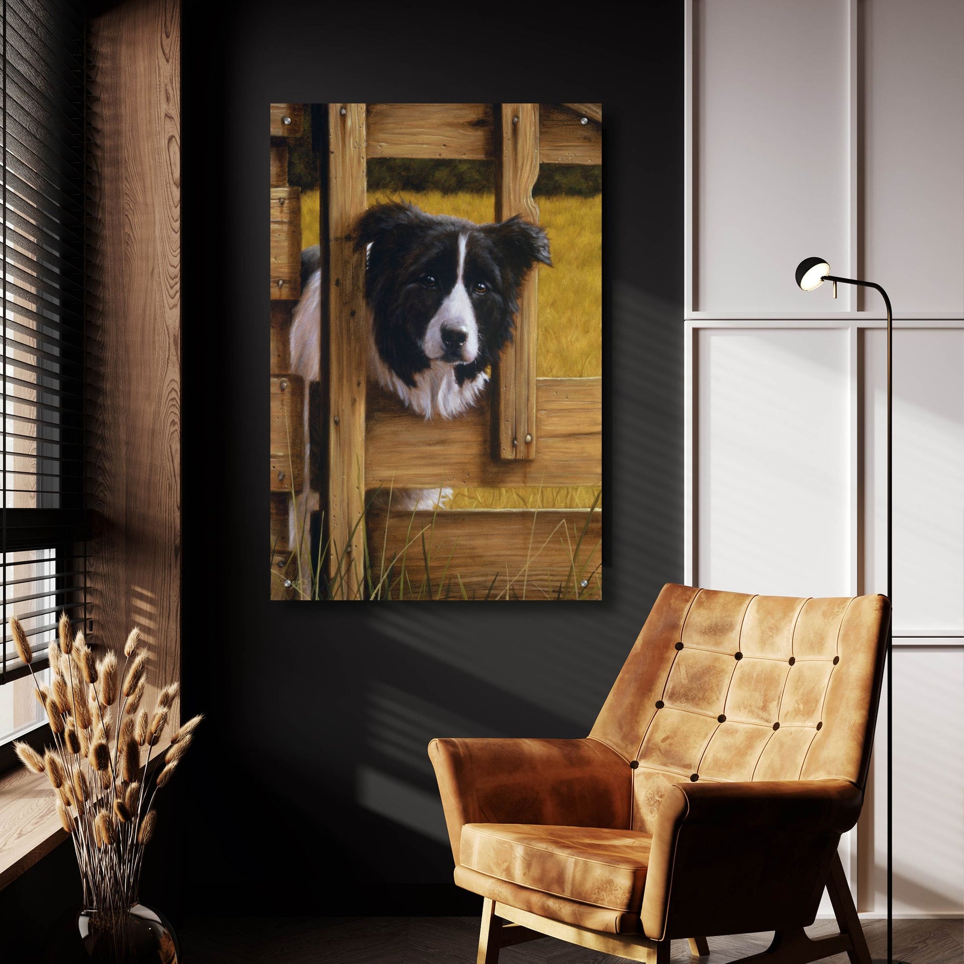 Epic Art ' Border Collie Exploring' by John Silver, Acrylic Glass Wall Art,24x36