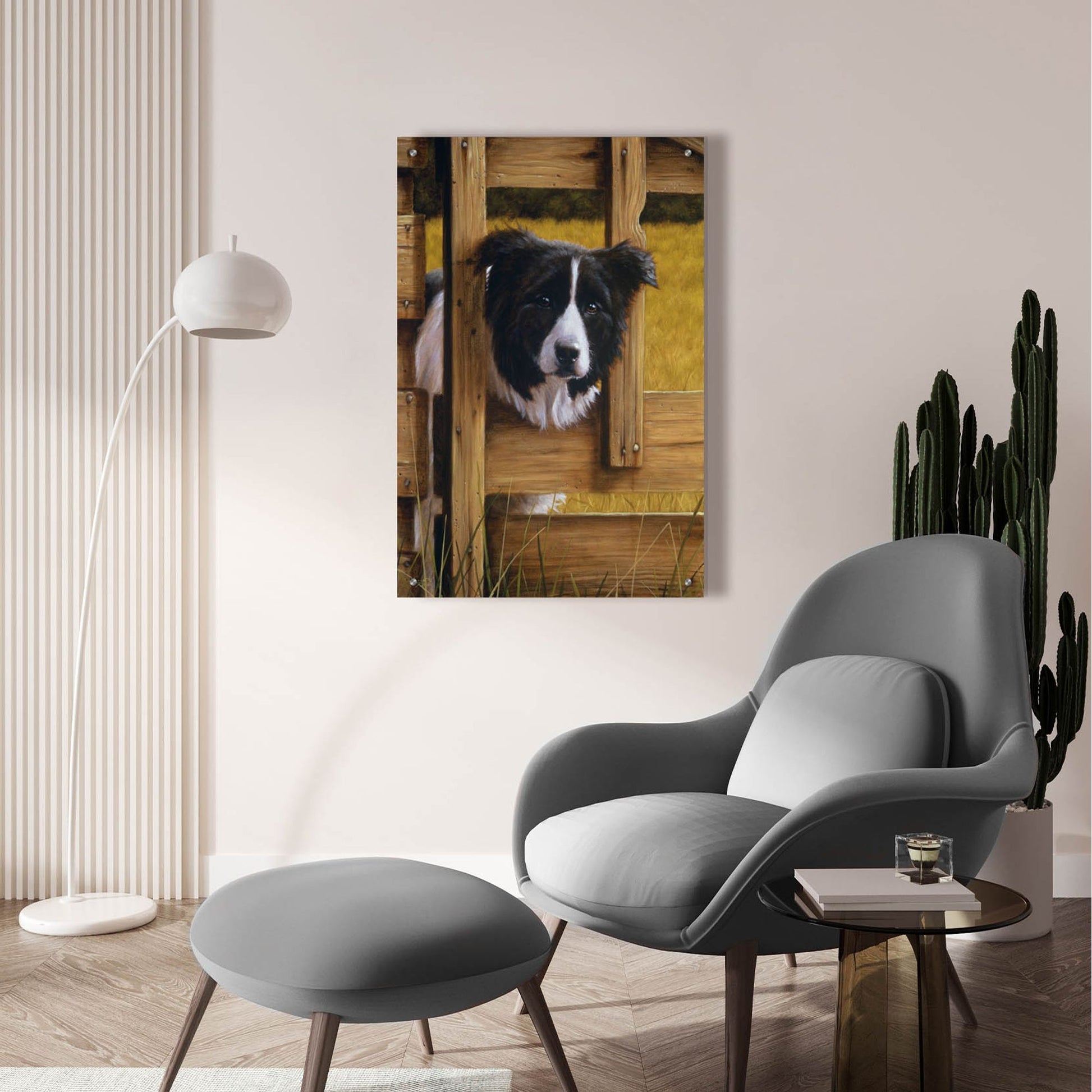 Epic Art ' Border Collie Exploring' by John Silver, Acrylic Glass Wall Art,24x36