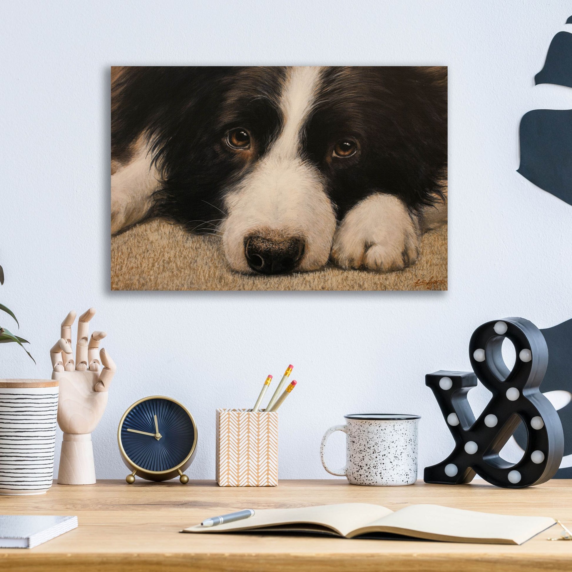 Epic Art 'Border Collie Love' by John Silver, Acrylic Glass Wall Art,16x12