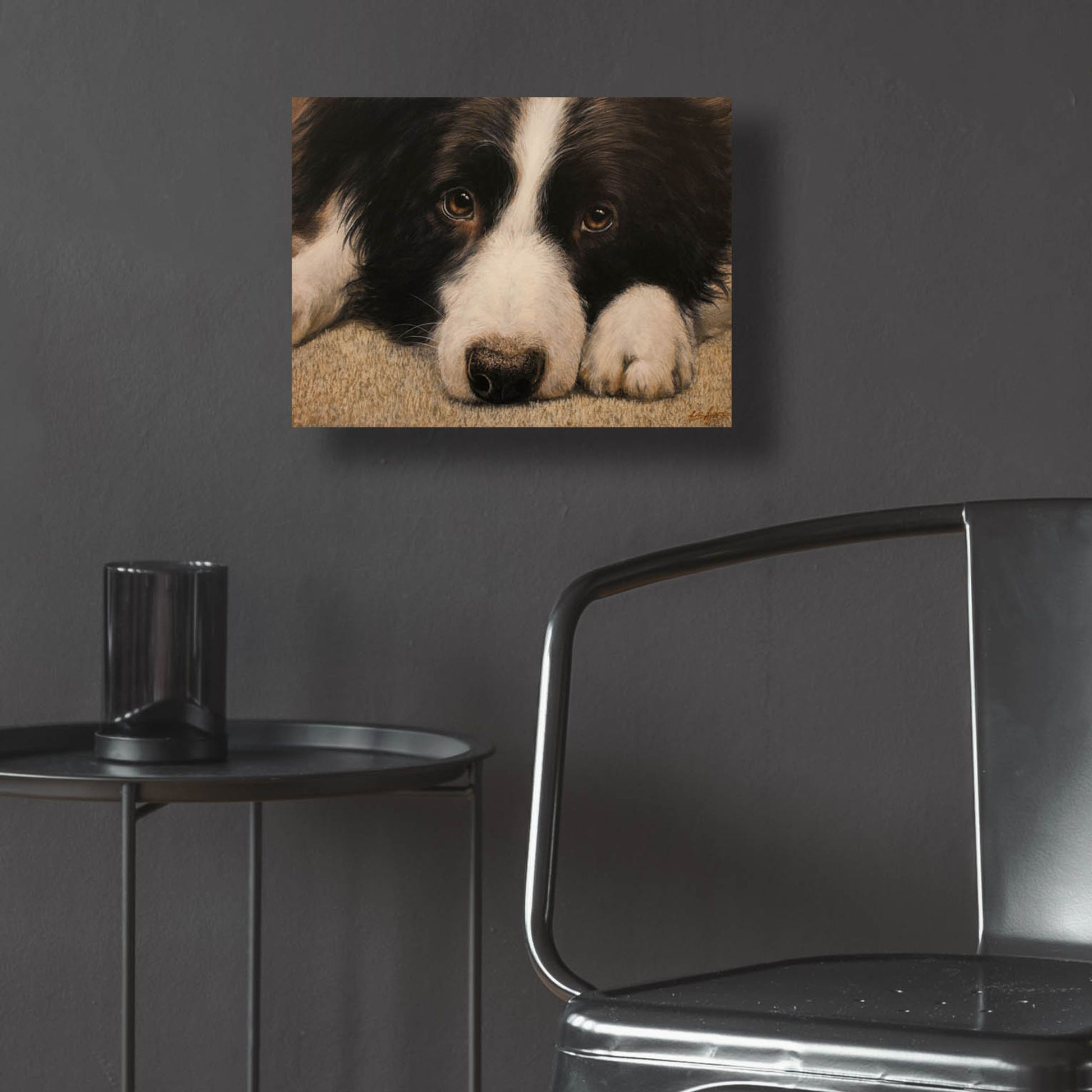 Epic Art 'Border Collie Love' by John Silver, Acrylic Glass Wall Art,16x12