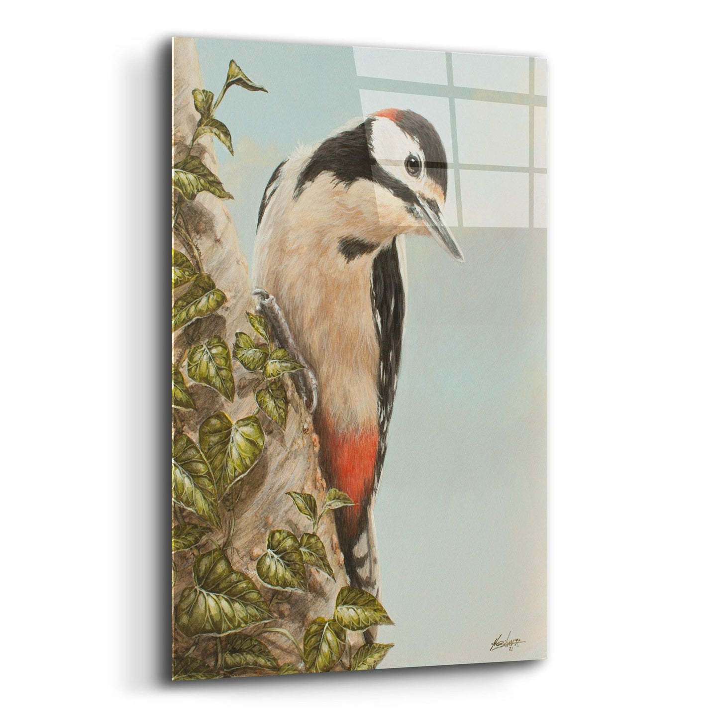 Epic Art 'WoodPecker and Ivy' by John Silver, Acrylic Glass Wall Art,12x16