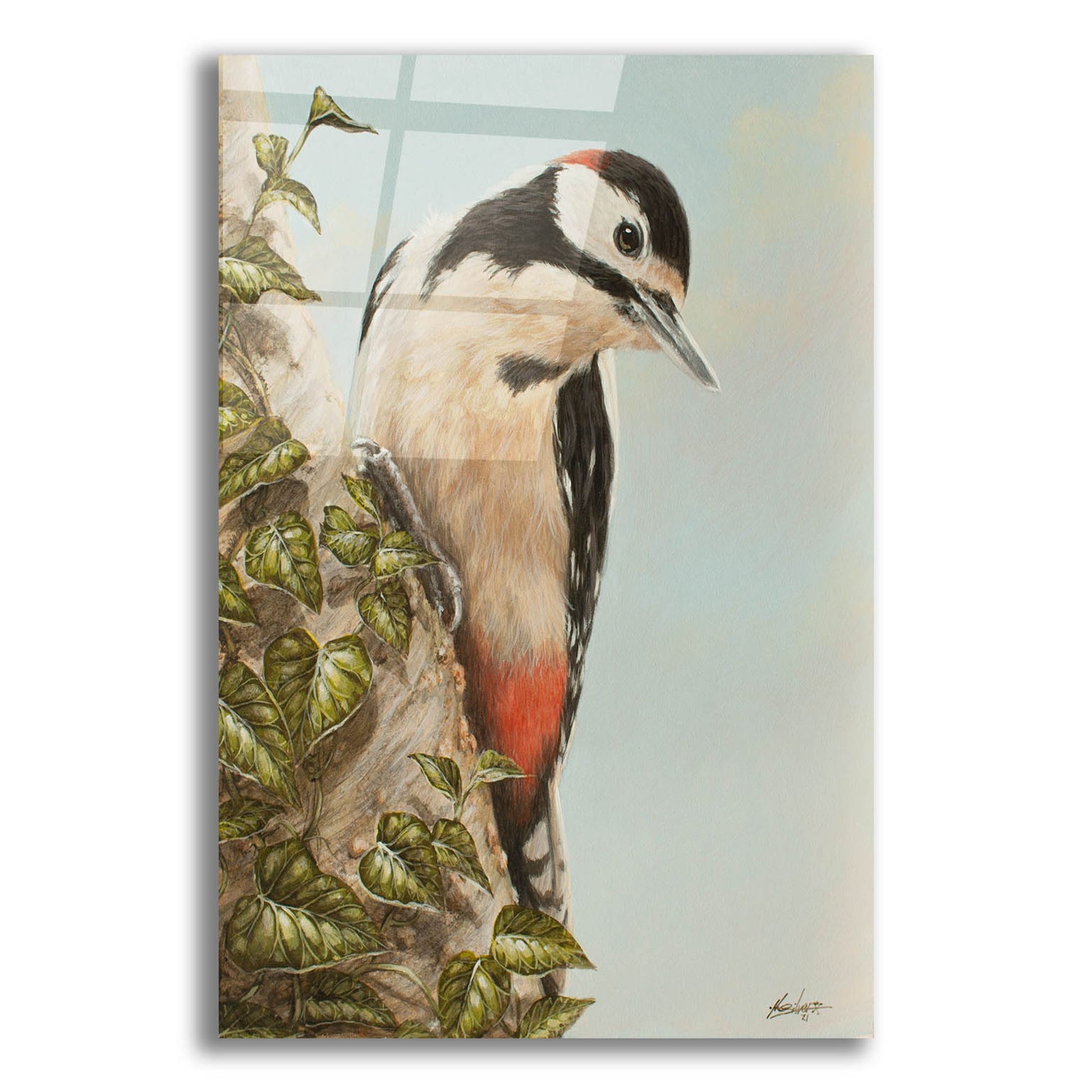 Epic Art 'WoodPecker and Ivy' by John Silver, Acrylic Glass Wall Art