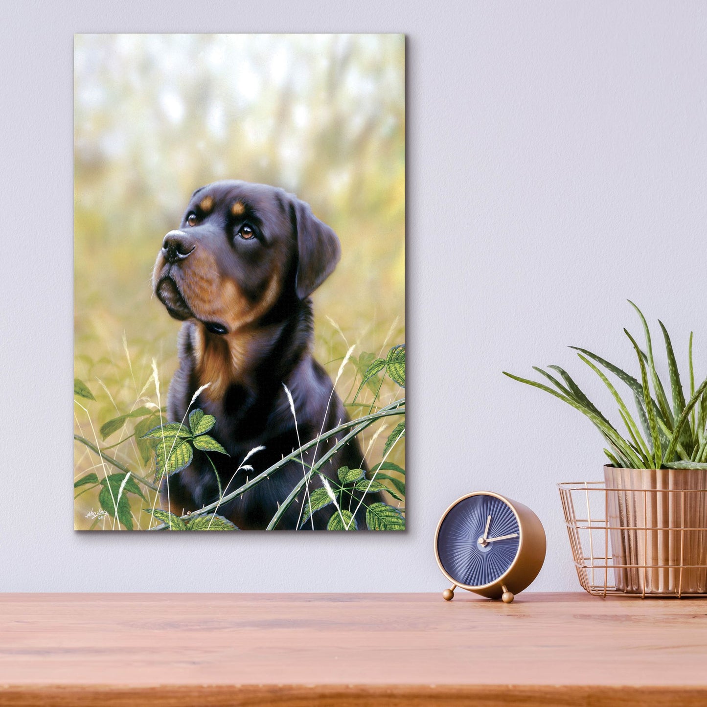 Epic Art 'Rottweiler Spirit Of Loyalty' by John Silver, Acrylic Glass Wall Art,12x16