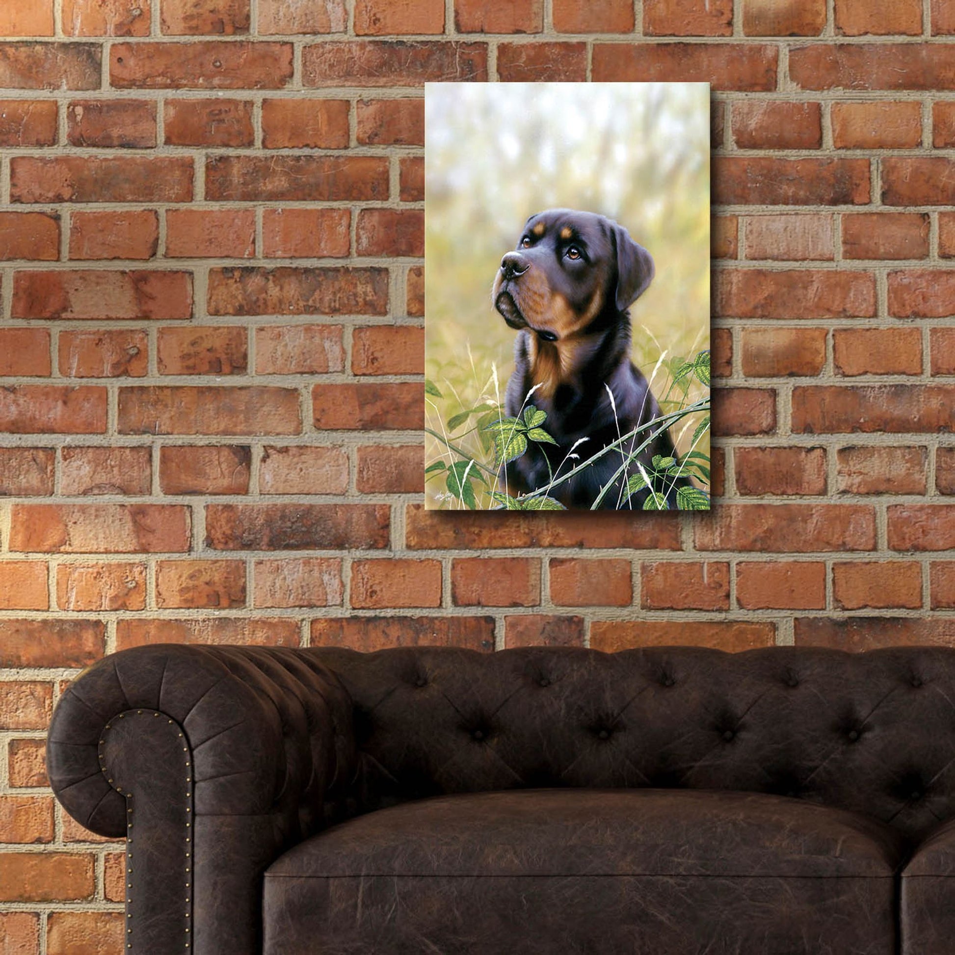 Epic Art 'Rottweiler Spirit Of Loyalty' by John Silver, Acrylic Glass Wall Art,16x24