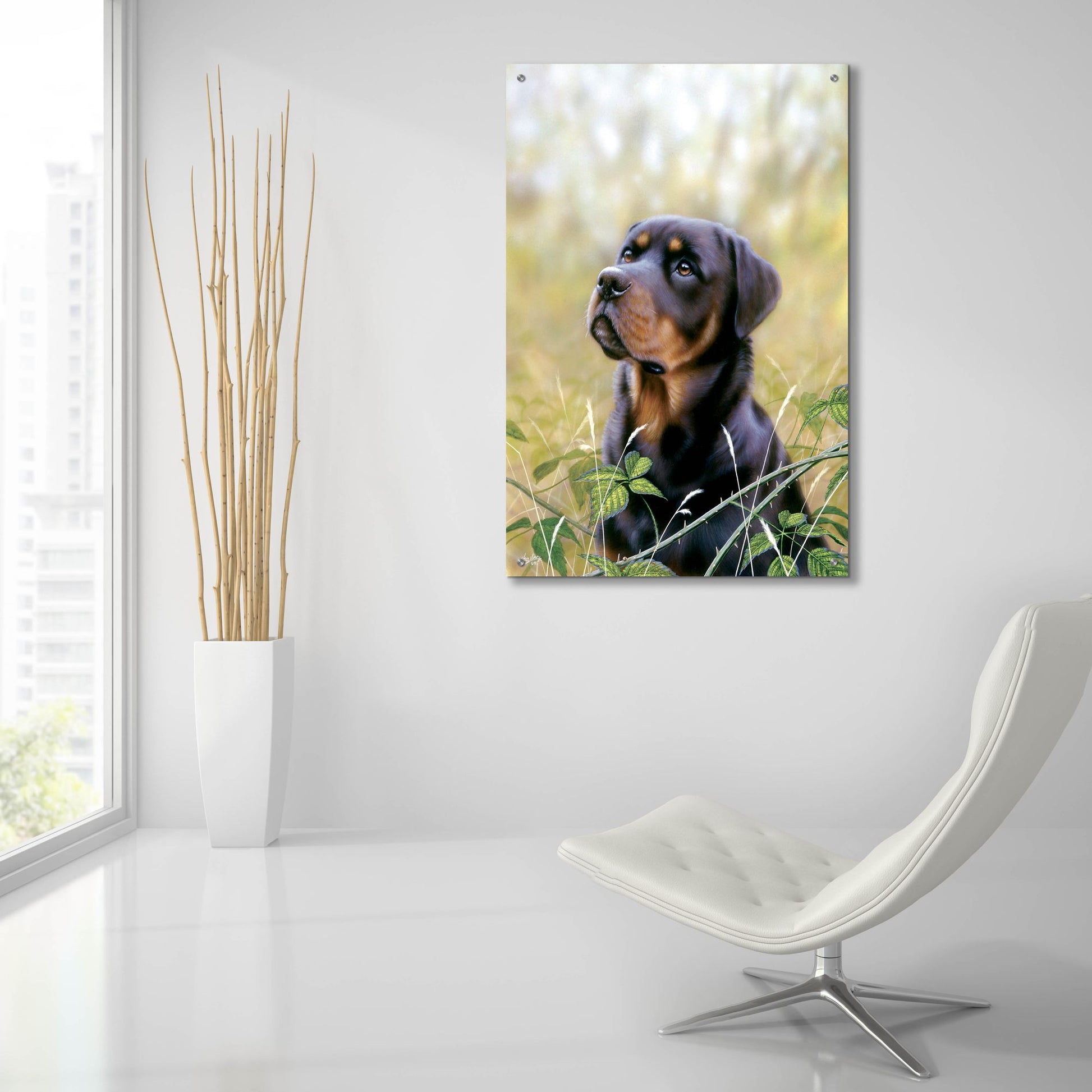 Epic Art 'Rottweiler Spirit Of Loyalty' by John Silver, Acrylic Glass Wall Art,24x36