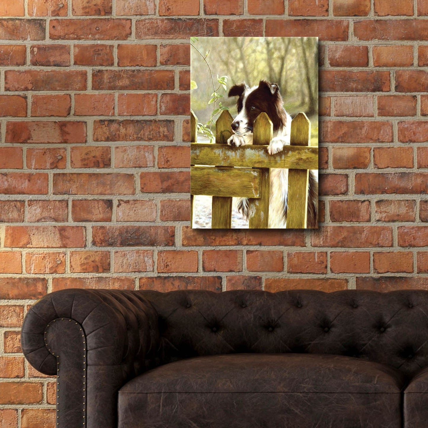 Epic Art 'Border Collie watching cows' by John Silver, Acrylic Glass Wall Art,16x24