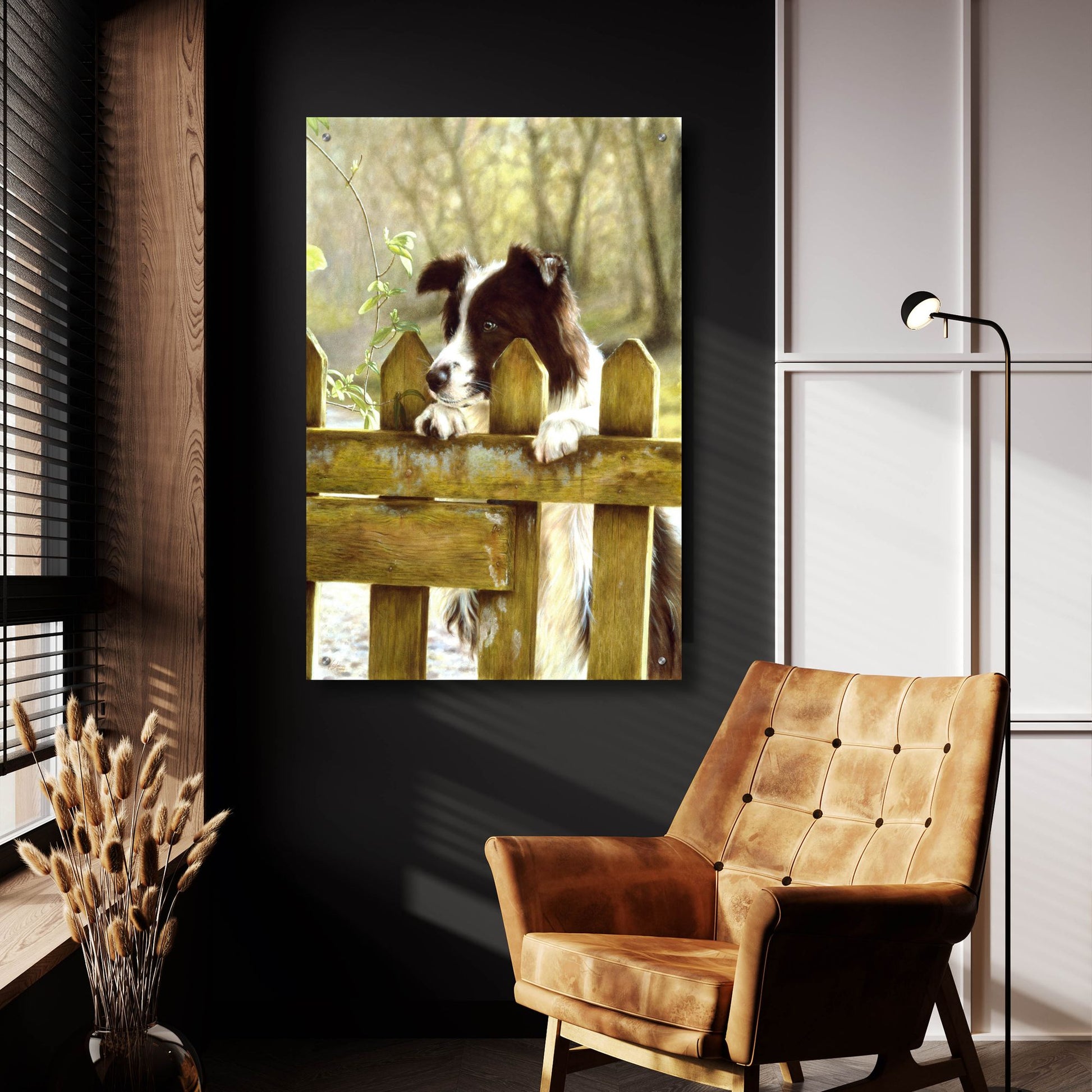 Epic Art 'Border Collie watching cows' by John Silver, Acrylic Glass Wall Art,24x36