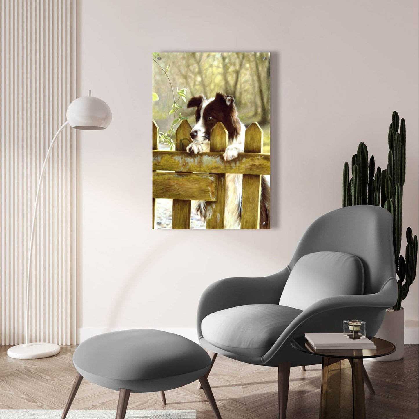 Epic Art 'Border Collie watching cows' by John Silver, Acrylic Glass Wall Art,24x36