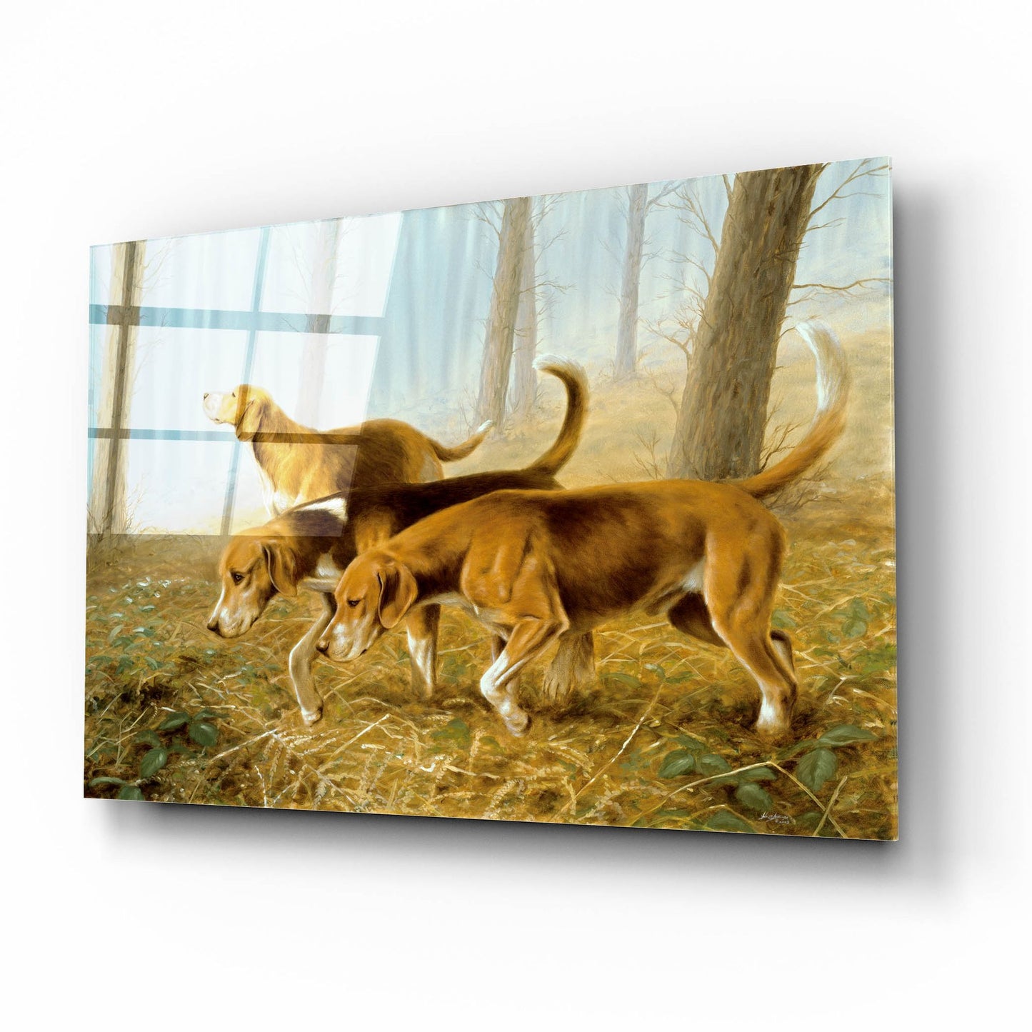 Epic Art ' Explorer Dogs' by John Silver, Acrylic Glass Wall Art,16x12