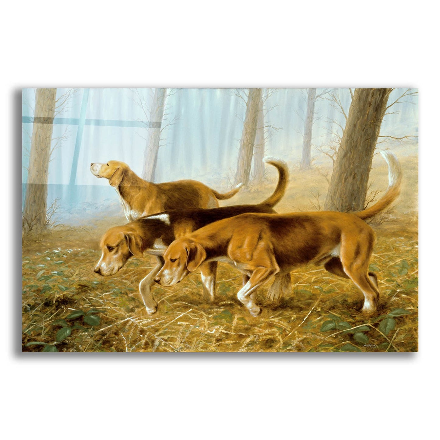 Epic Art ' Explorer Dogs' by John Silver, Acrylic Glass Wall Art,24x16