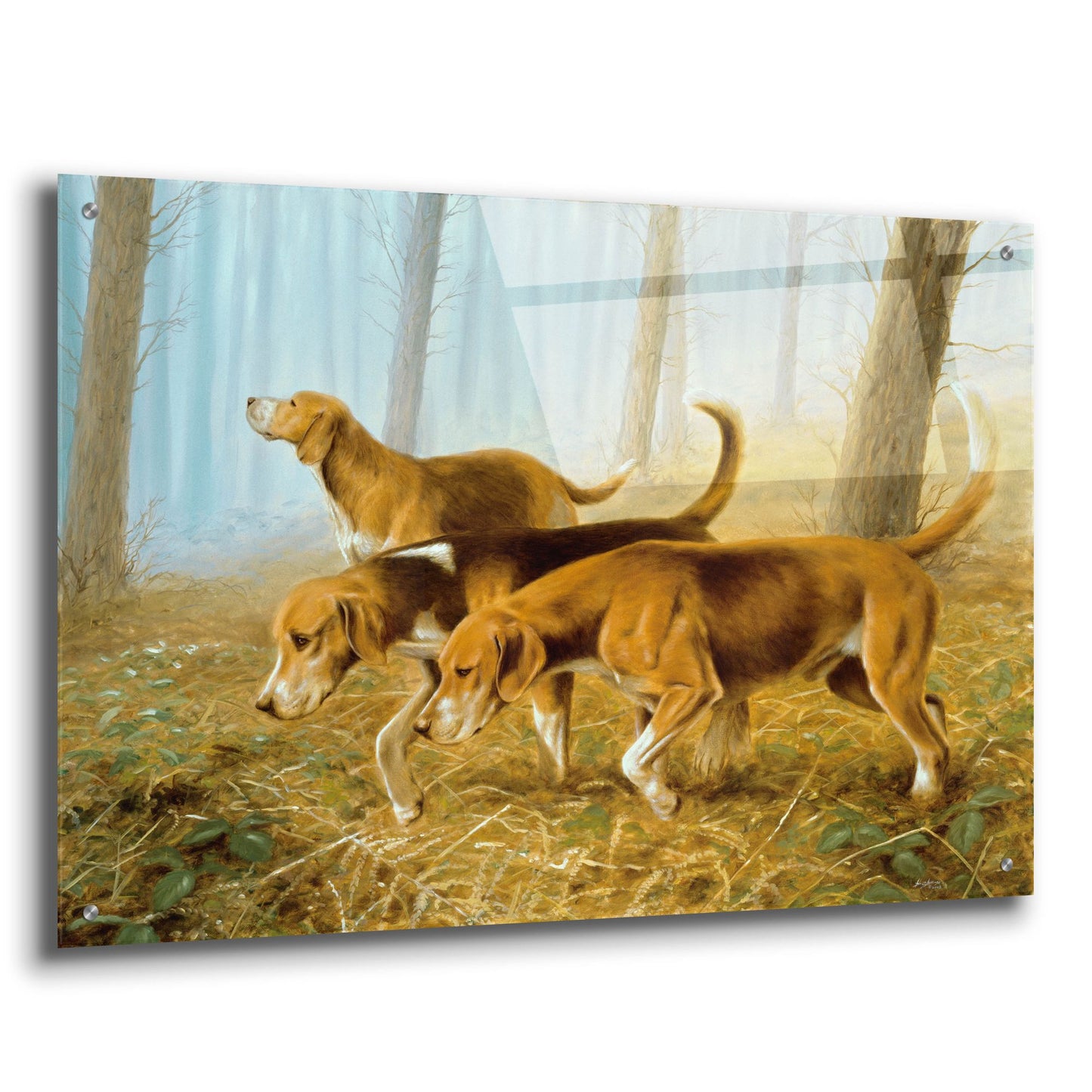 Epic Art ' Explorer Dogs' by John Silver, Acrylic Glass Wall Art,36x24