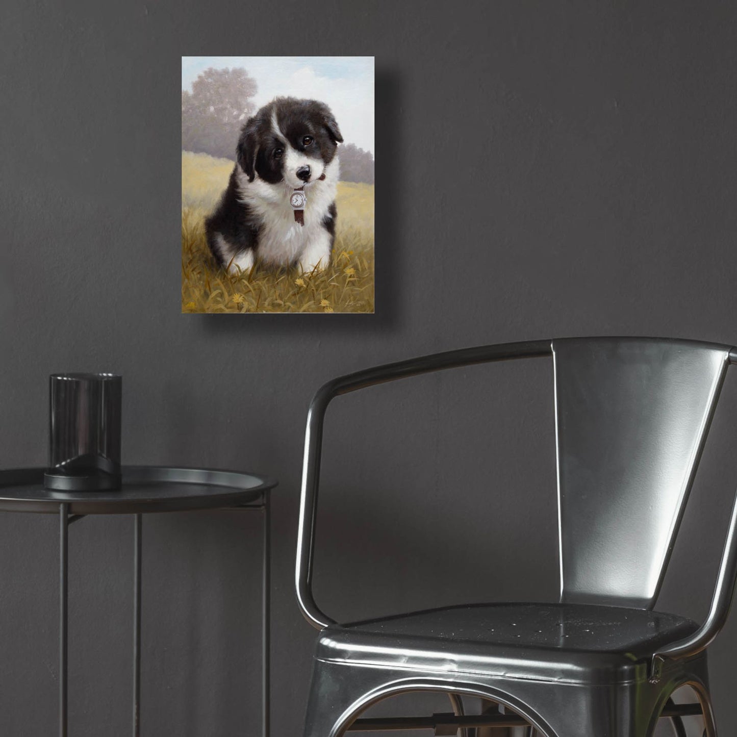 Epic Art 'Border Collie Puppy' by John Silver, Acrylic Glass Wall Art,12x16