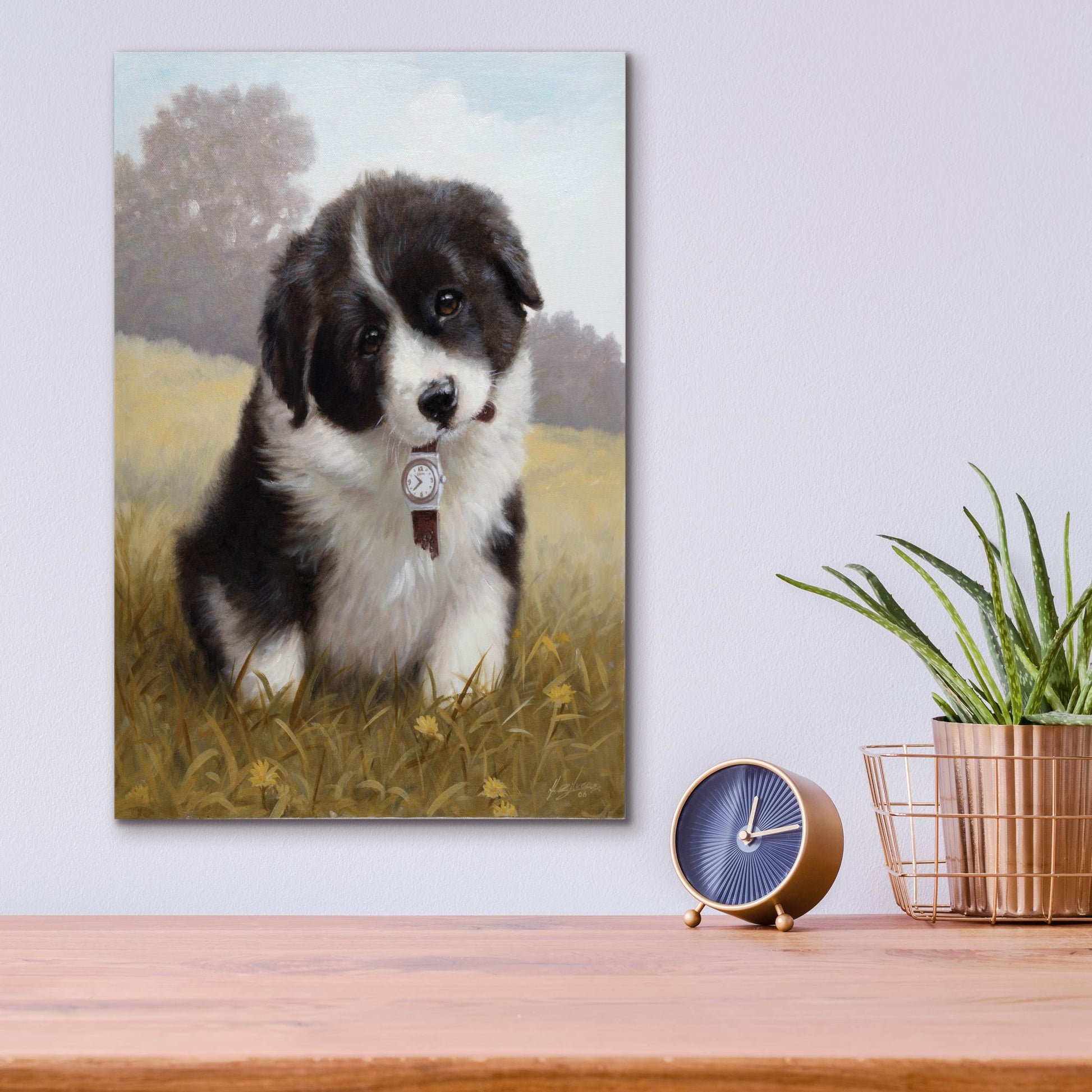 Epic Art 'Border Collie Puppy' by John Silver, Acrylic Glass Wall Art,12x16