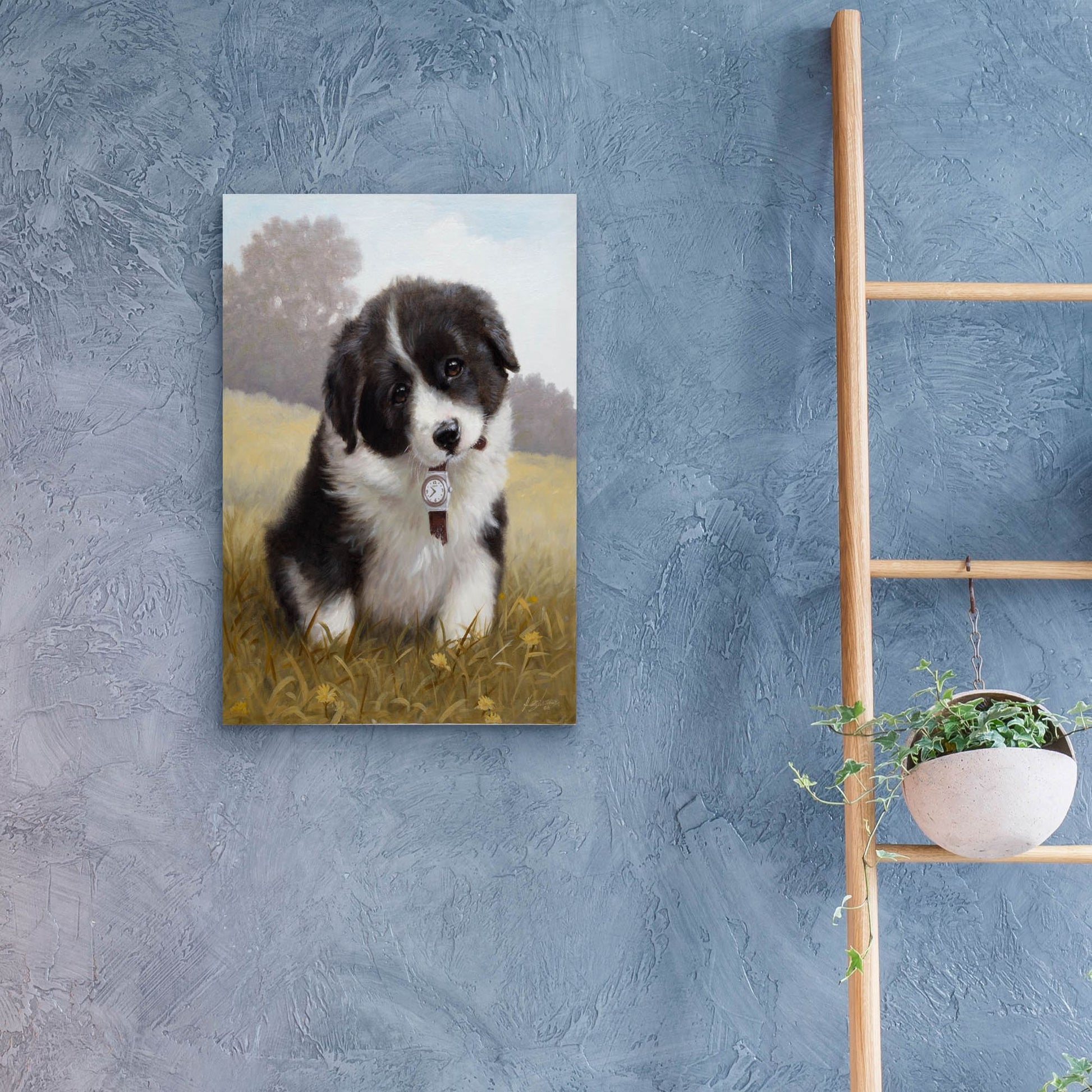 Epic Art 'Border Collie Puppy' by John Silver, Acrylic Glass Wall Art,16x24