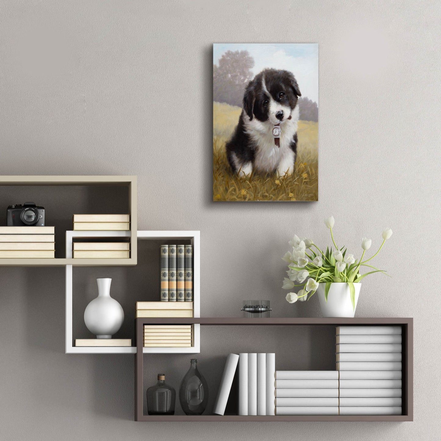 Epic Art 'Border Collie Puppy' by John Silver, Acrylic Glass Wall Art,16x24