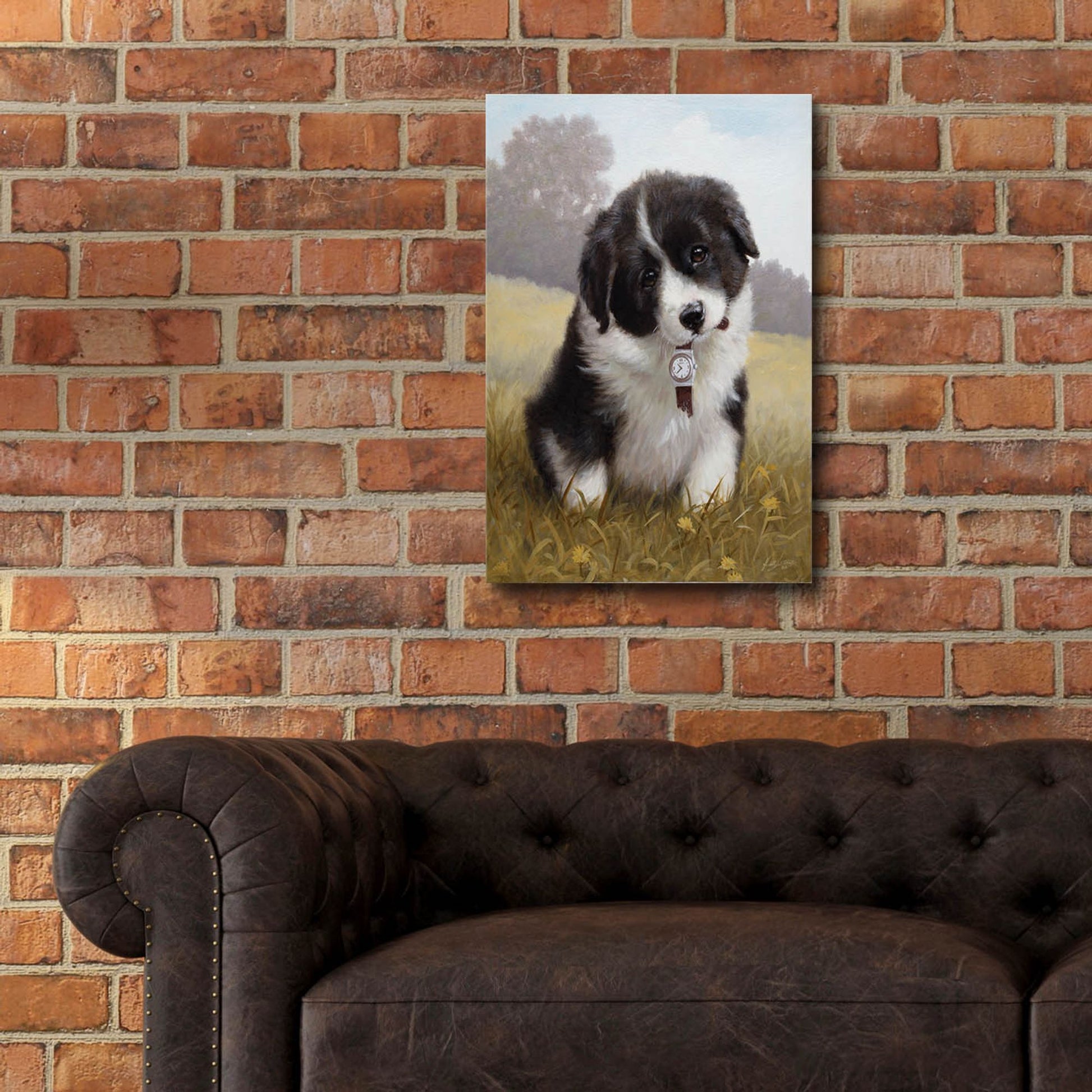 Epic Art 'Border Collie Puppy' by John Silver, Acrylic Glass Wall Art,16x24