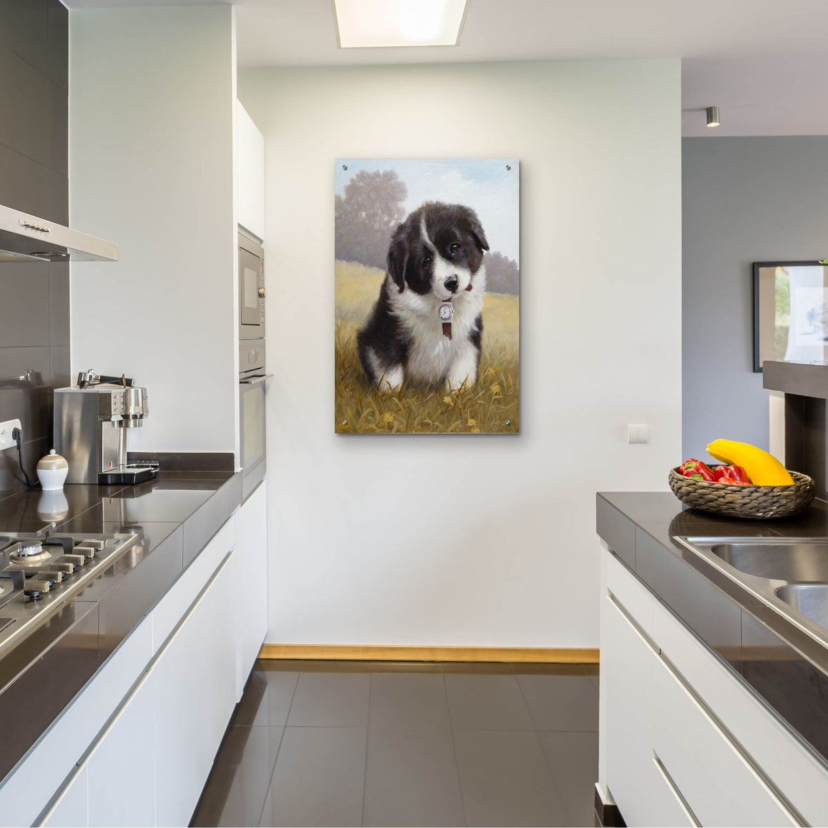 Epic Art 'Border Collie Puppy' by John Silver, Acrylic Glass Wall Art,24x36