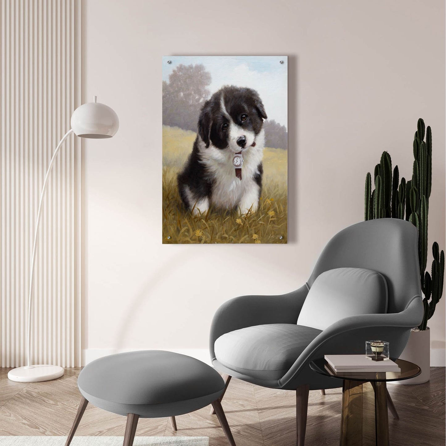 Epic Art 'Border Collie Puppy' by John Silver, Acrylic Glass Wall Art,24x36