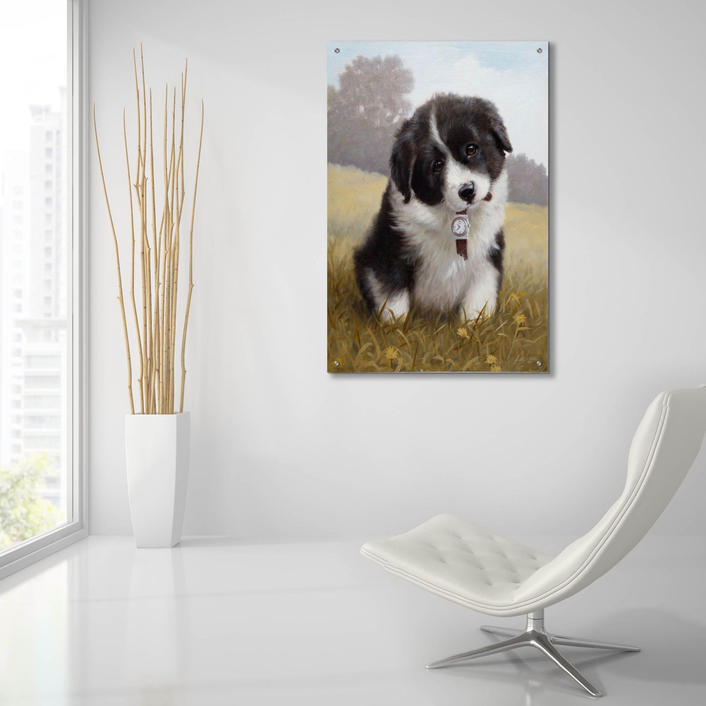 Epic Art 'Border Collie Puppy' by John Silver, Acrylic Glass Wall Art,24x36