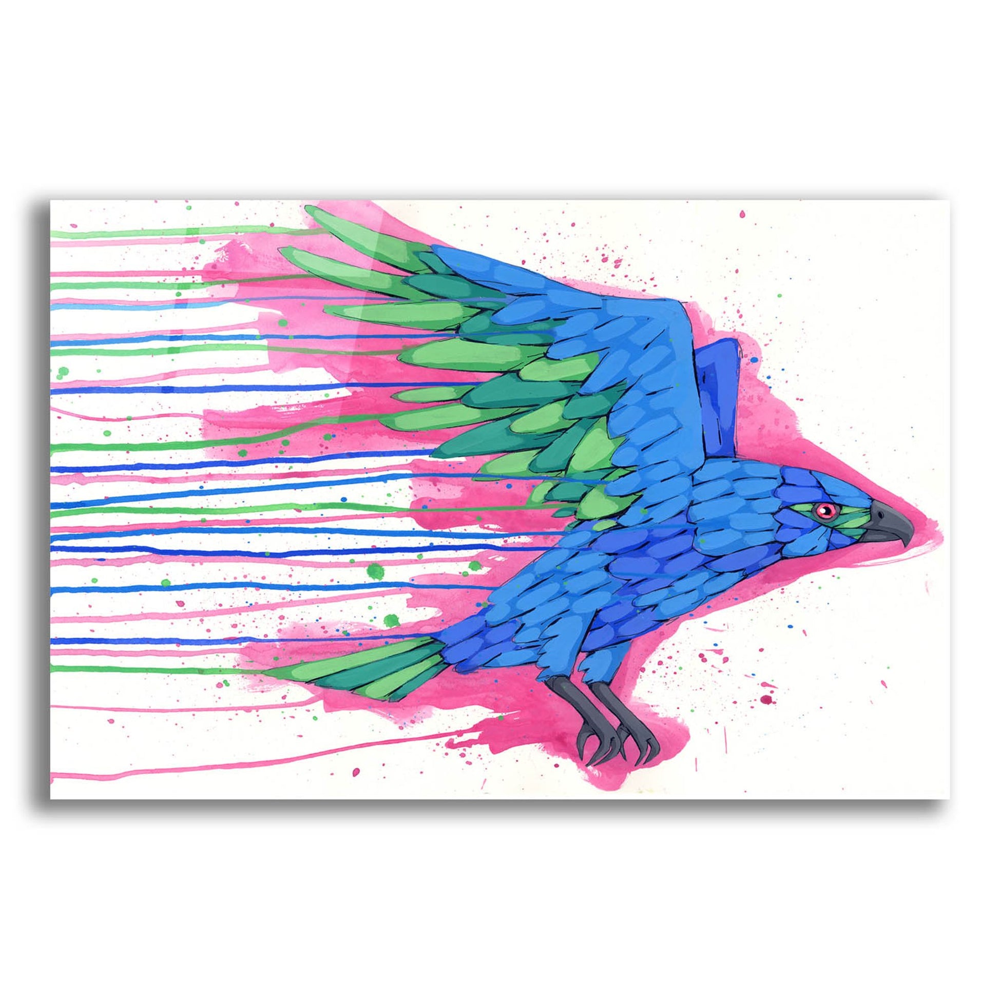 Epic Art 'Coming in Hot' by Ric Stultz, Acrylic Glass Wall Art,24x16