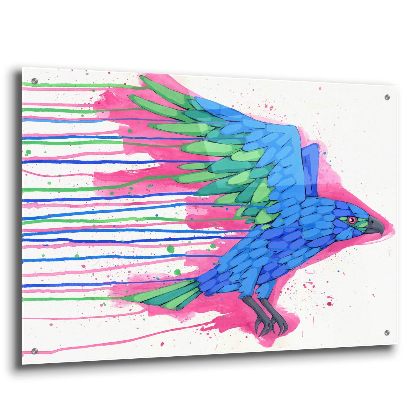 Epic Art 'Coming in Hot' by Ric Stultz, Acrylic Glass Wall Art,36x24