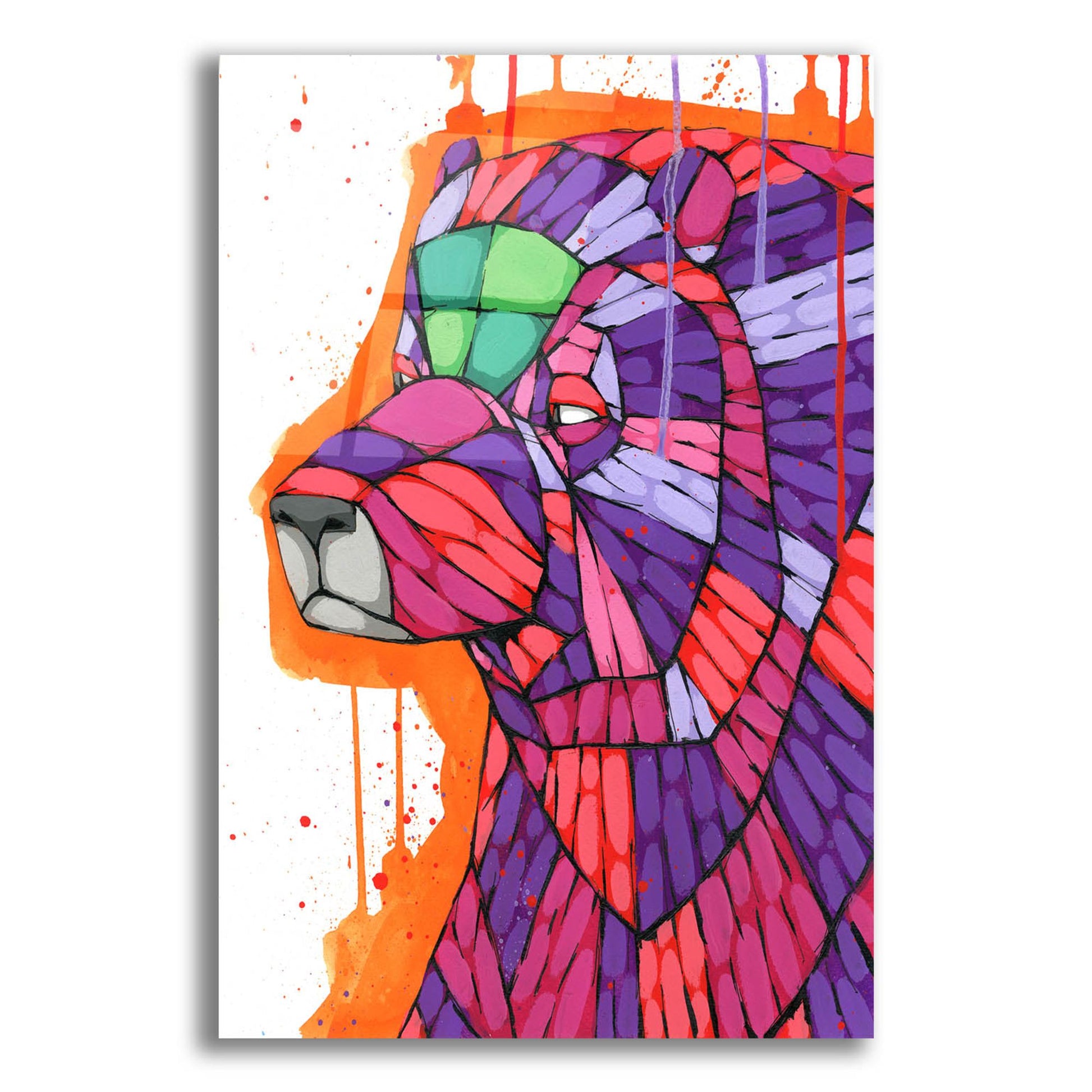 Epic Art 'Grizzly' by Ric Stultz, Acrylic Glass Wall Art