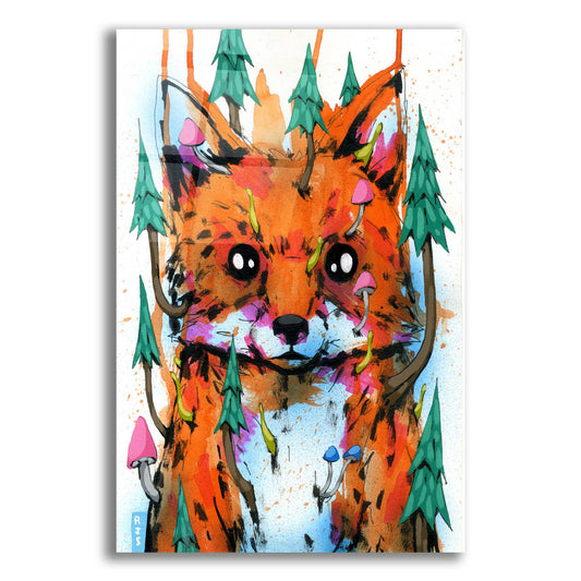 Epic Art 'Foxy' by Ric Stultz, Acrylic Glass Wall Art