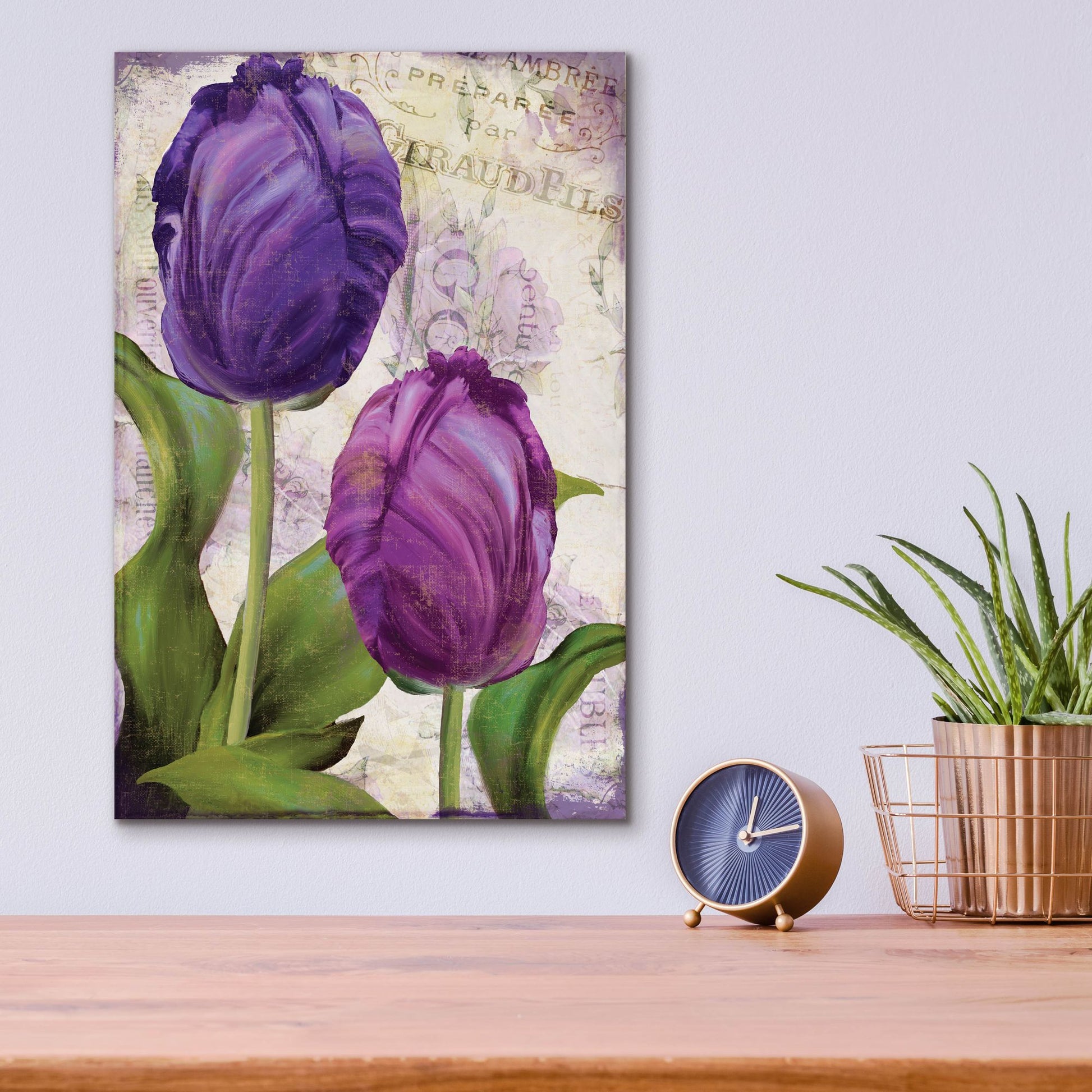 Epic Art 'Parrot Tulips I' by Sasha, Acrylic Glass Wall Art,12x16