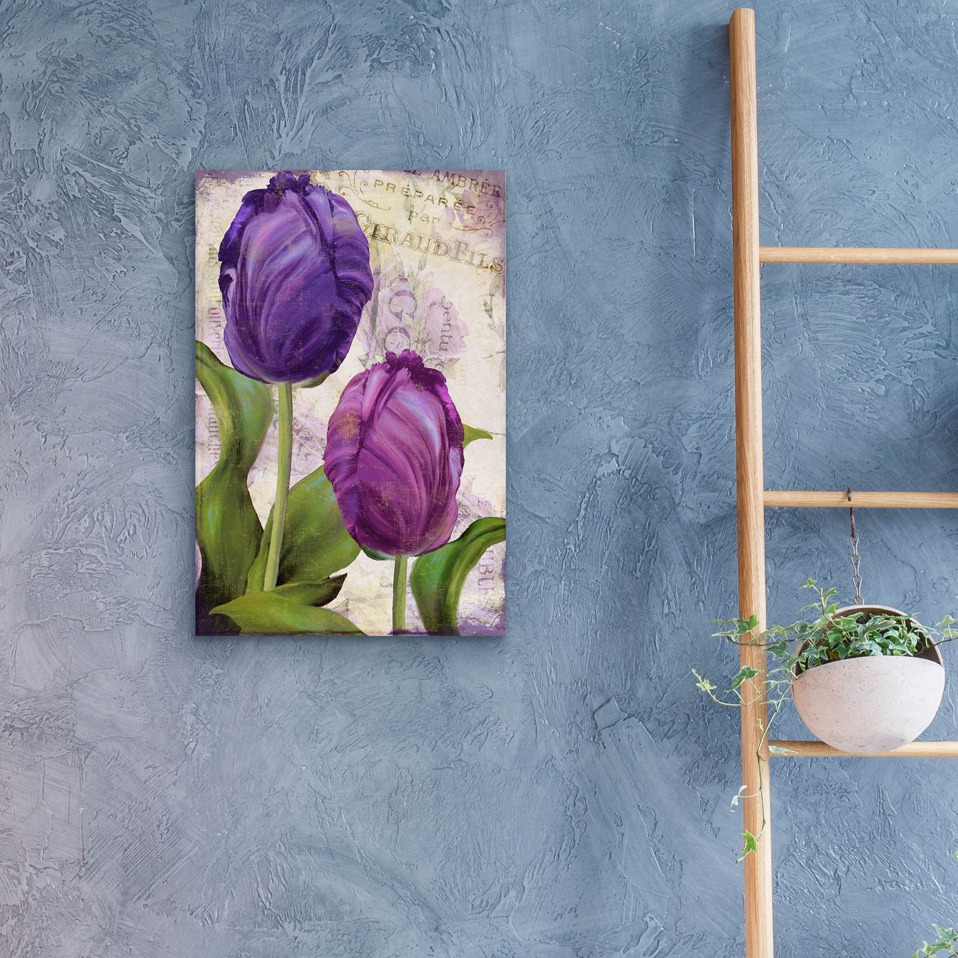 Epic Art 'Parrot Tulips I' by Sasha, Acrylic Glass Wall Art,16x24