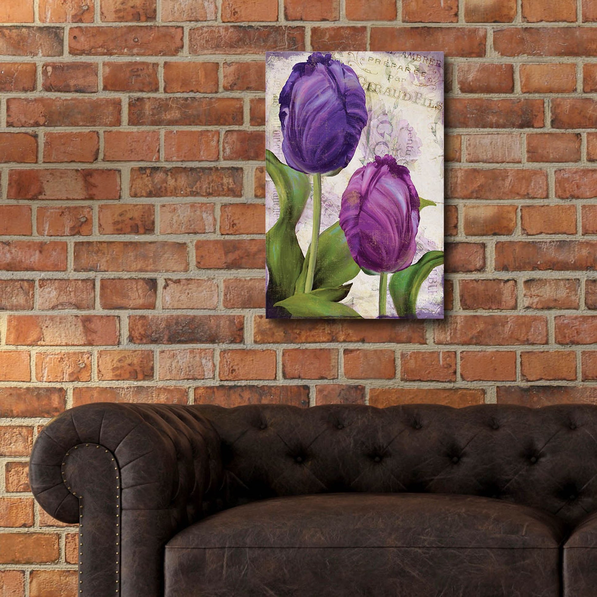 Epic Art 'Parrot Tulips I' by Sasha, Acrylic Glass Wall Art,16x24