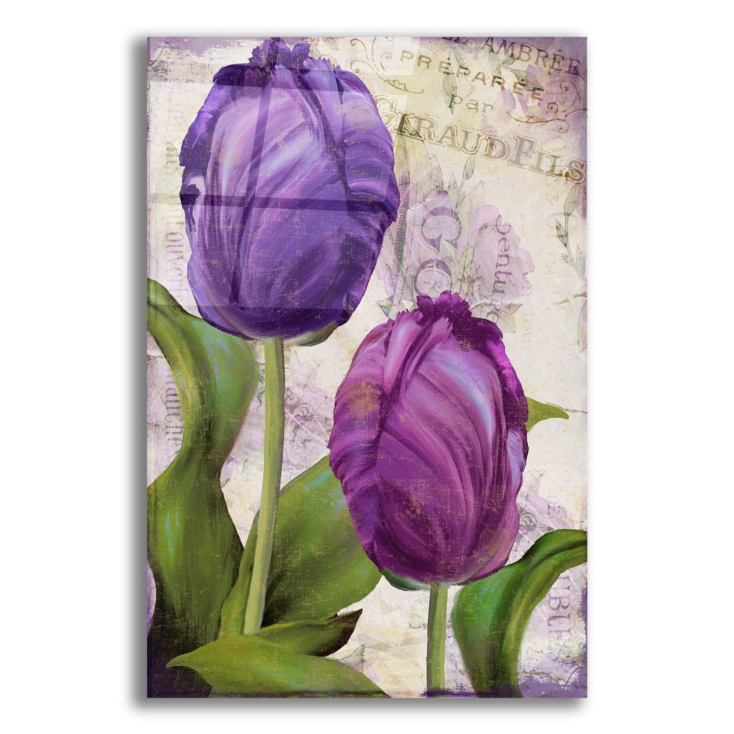 Epic Art 'Parrot Tulips I' by Sasha, Acrylic Glass Wall Art