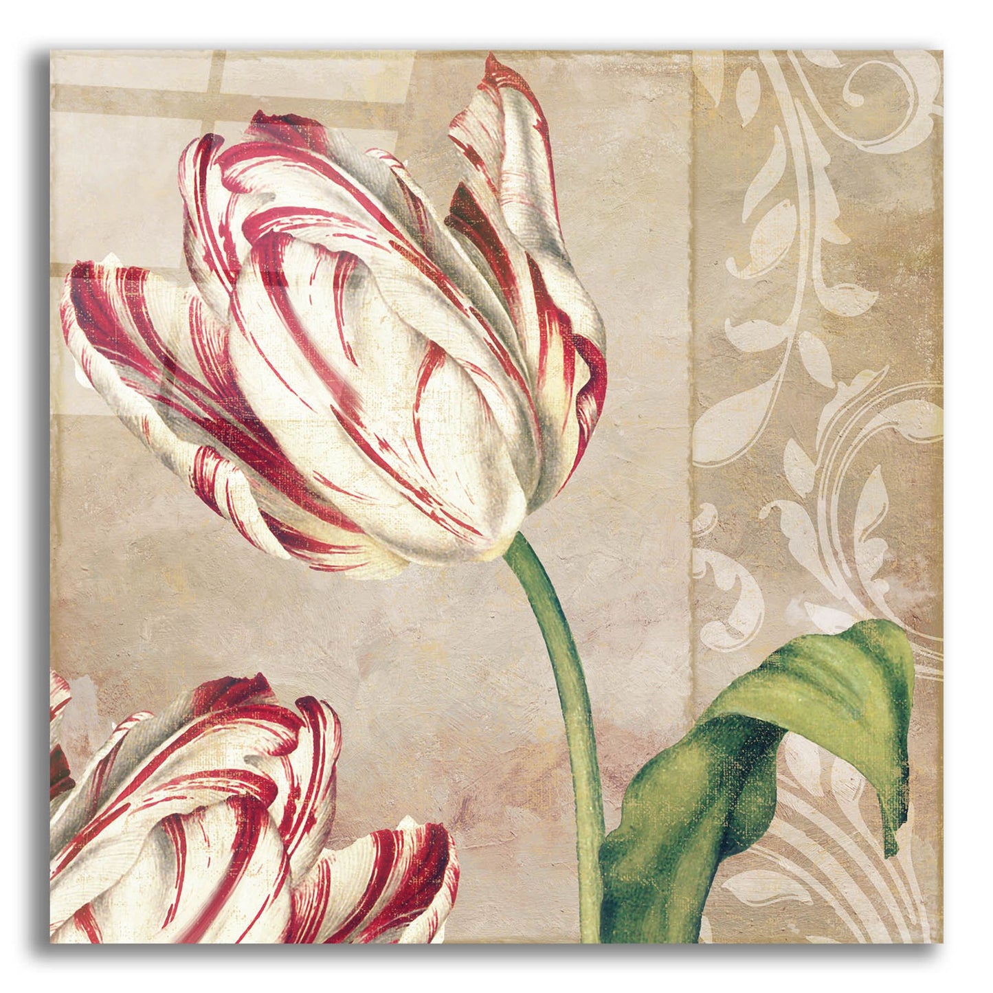 Epic Art 'Peppermint Tulips I' by Sasha, Acrylic Glass Wall Art