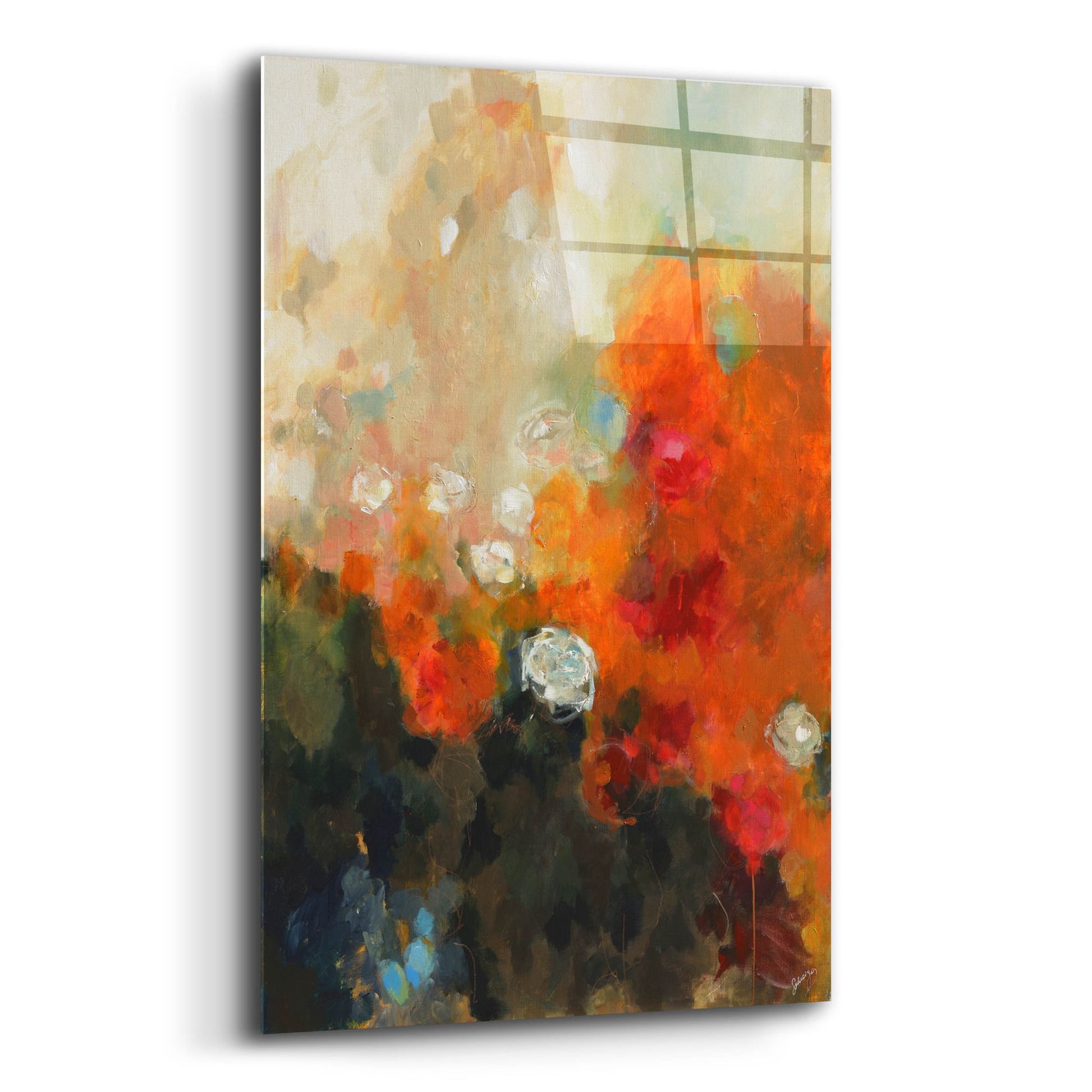 Epic Art 'Garden Rose' by Solveiga, Acrylic Glass Wall Art,12x16