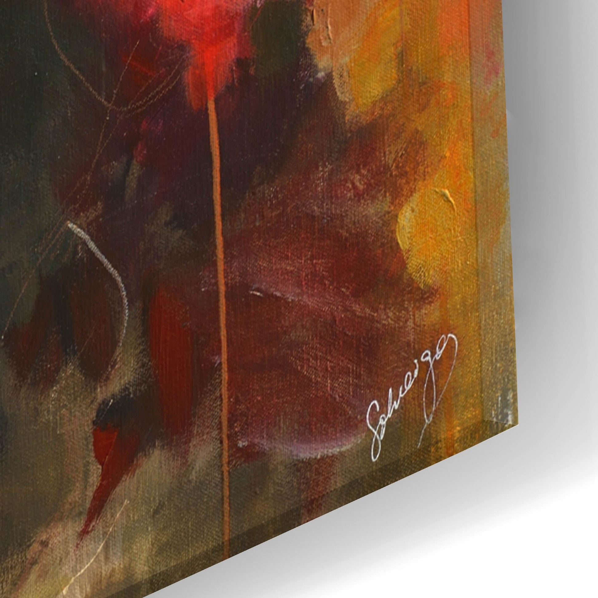 Epic Art 'Garden Rose' by Solveiga, Acrylic Glass Wall Art,16x24