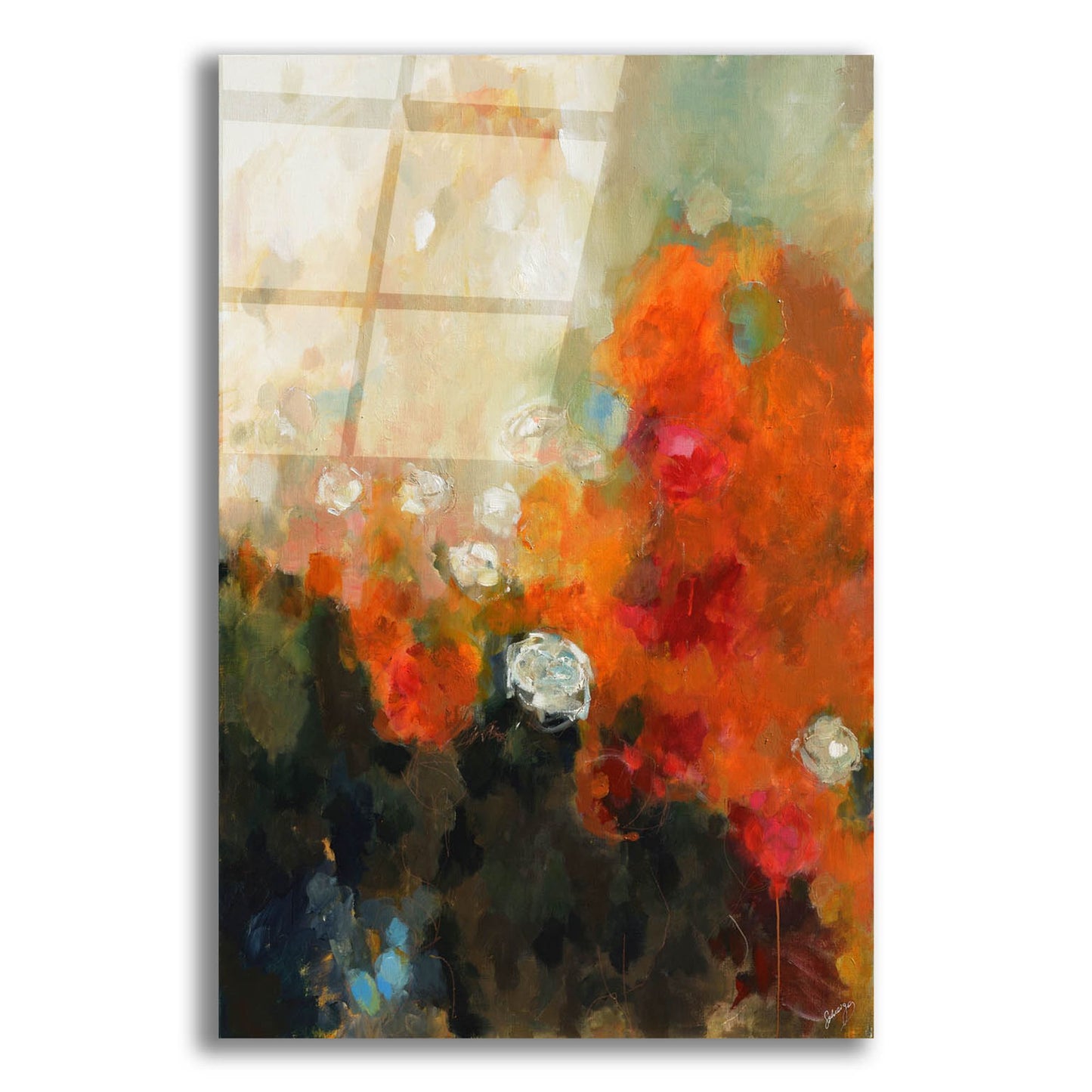 Epic Art 'Garden Rose' by Solveiga, Acrylic Glass Wall Art