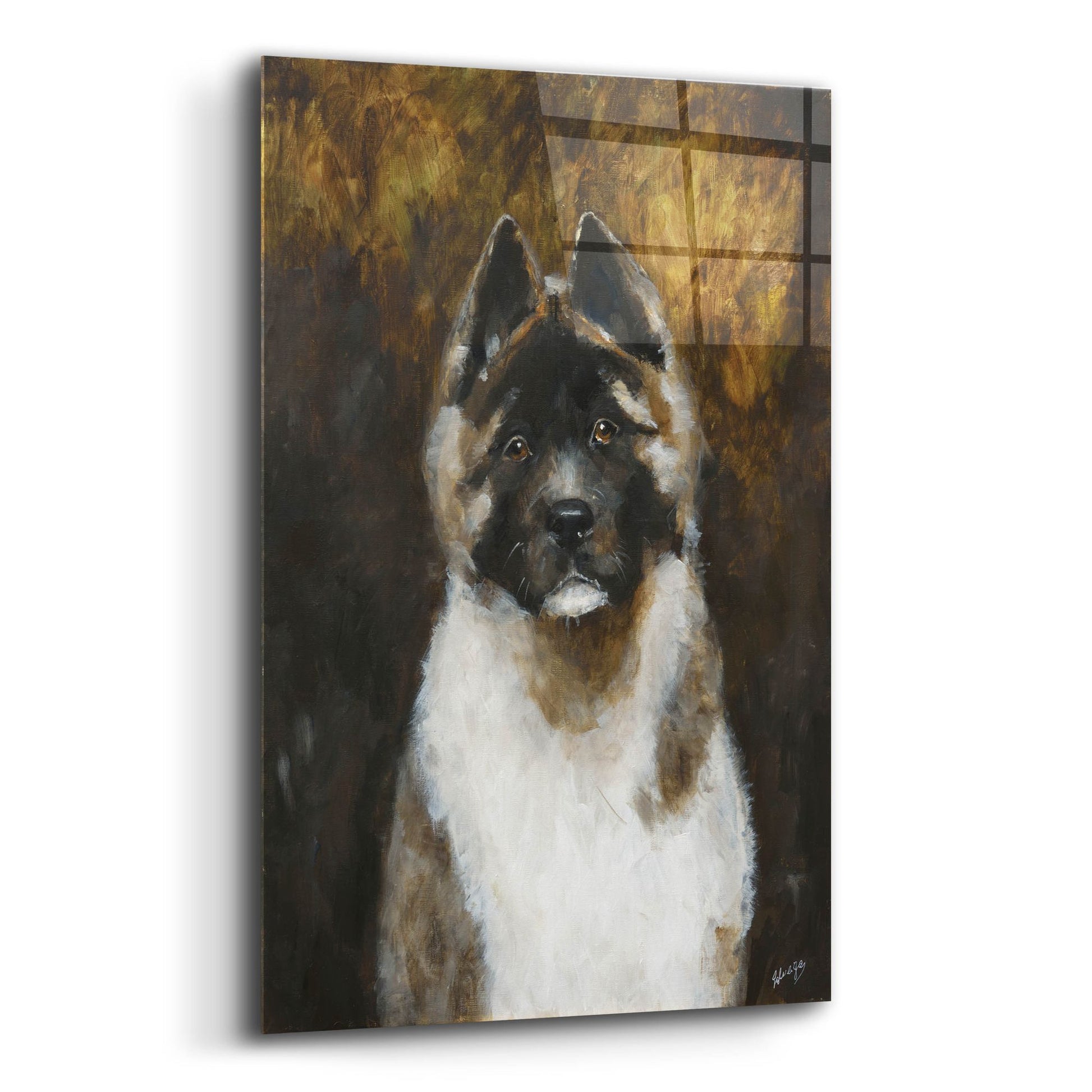 Epic Art 'American Akita' by Solveiga, Acrylic Glass Wall Art,12x16