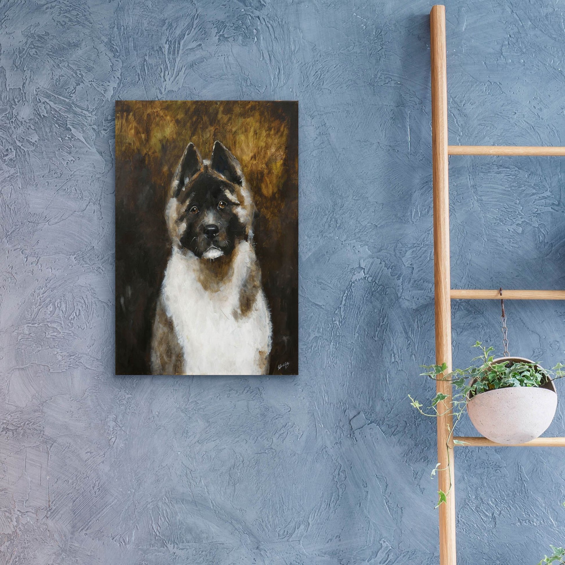 Epic Art 'American Akita' by Solveiga, Acrylic Glass Wall Art,16x24