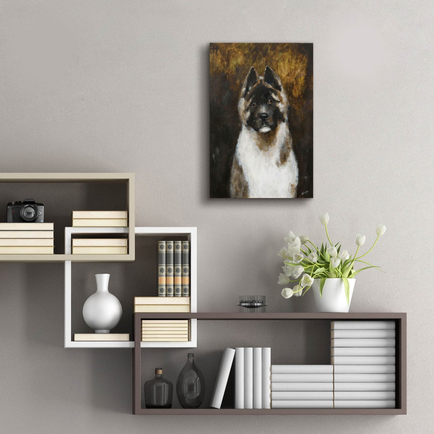 Epic Art 'American Akita' by Solveiga, Acrylic Glass Wall Art,16x24