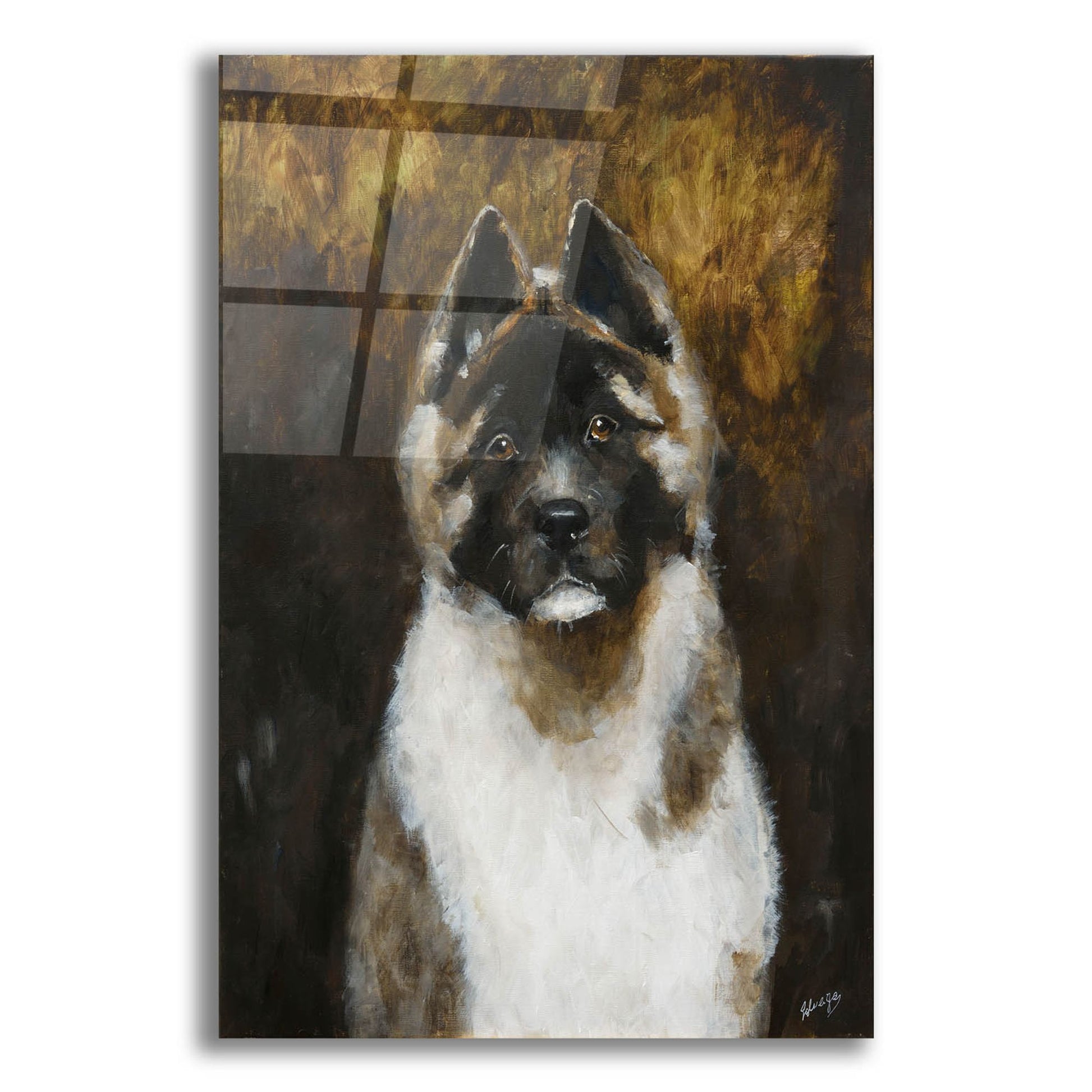 Epic Art 'American Akita' by Solveiga, Acrylic Glass Wall Art