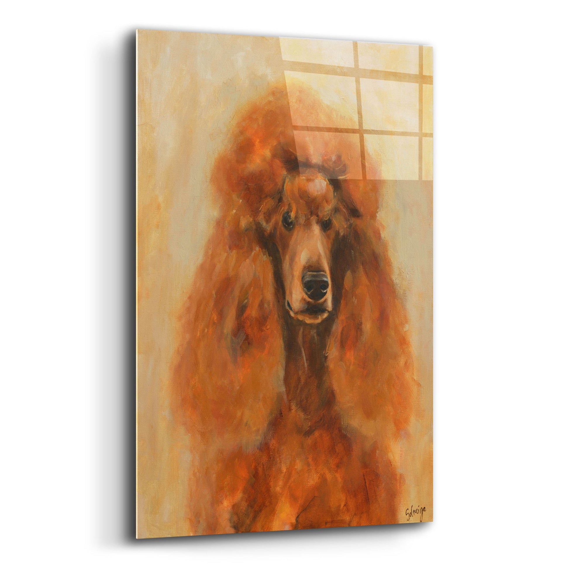 Epic Art 'Apricot Poodle' by Solveiga, Acrylic Glass Wall Art,12x16