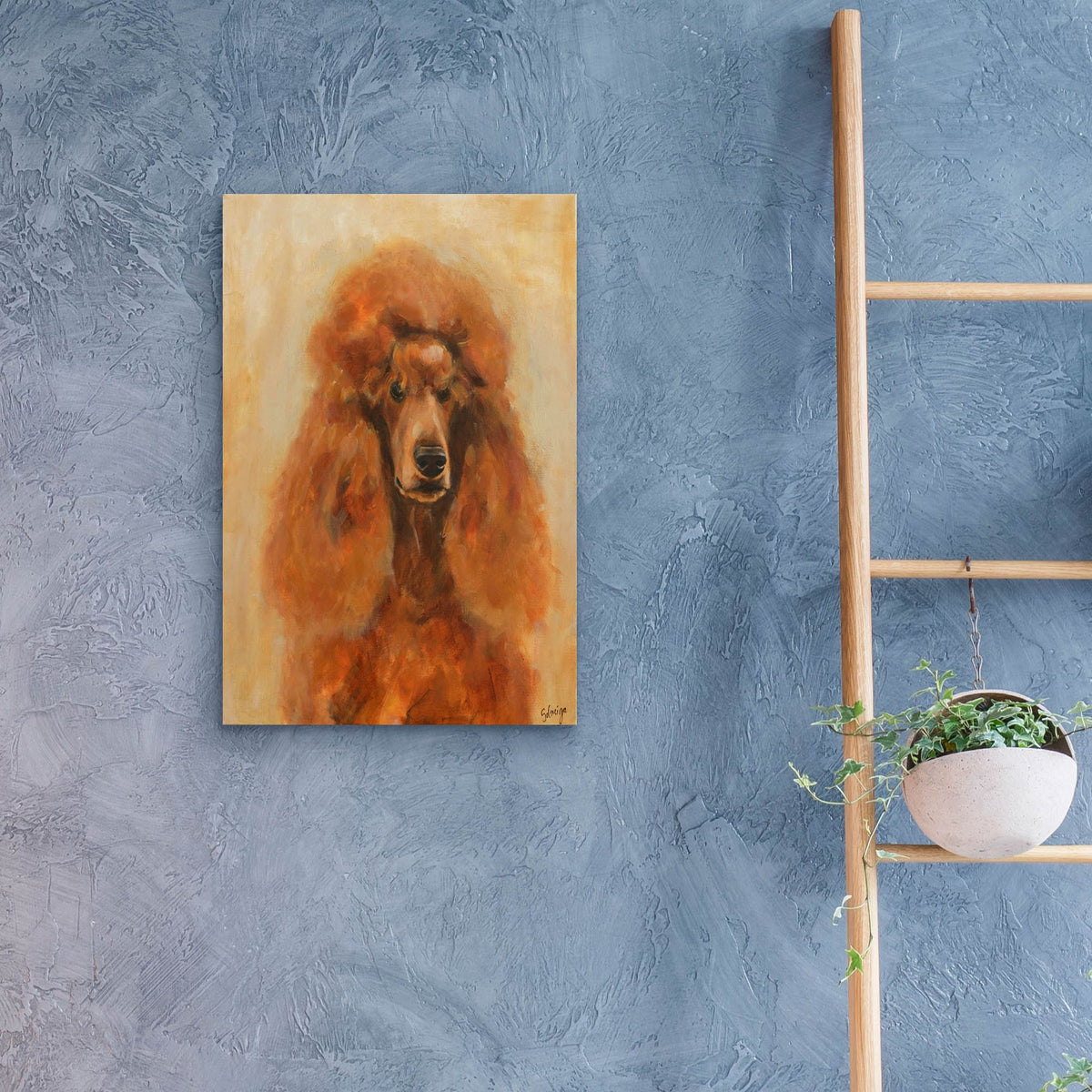 Epic Art 'Apricot Poodle' by Solveiga, Acrylic Glass Wall Art,16x24