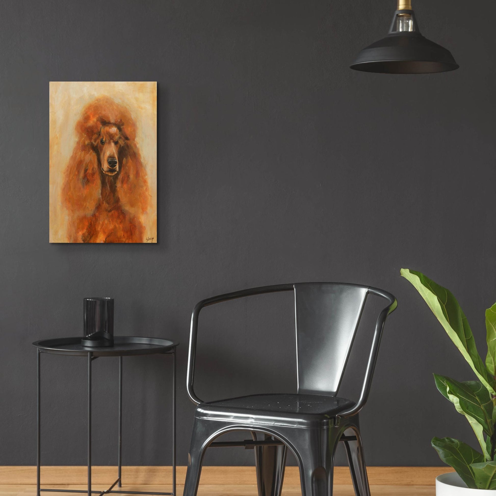 Epic Art 'Apricot Poodle' by Solveiga, Acrylic Glass Wall Art,16x24