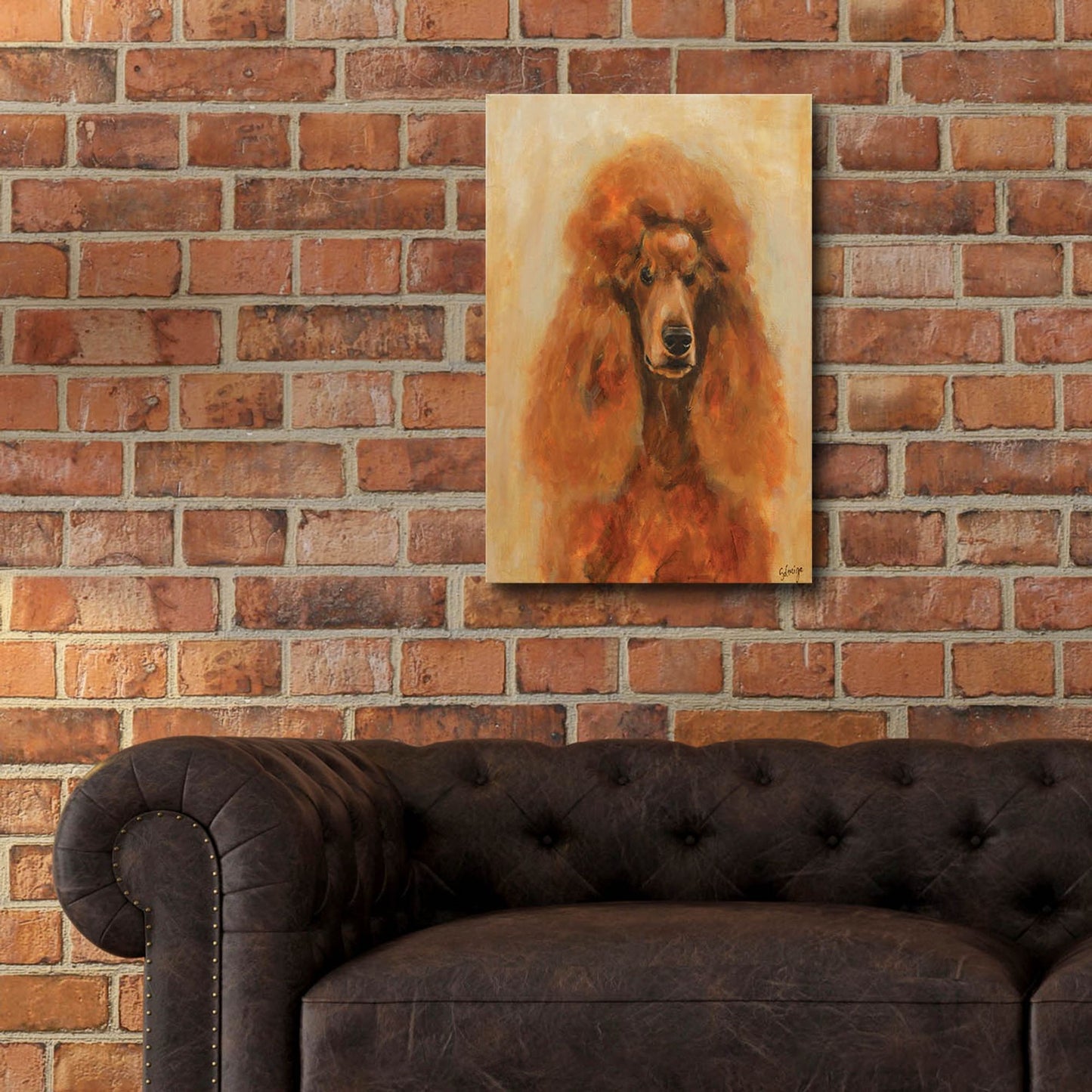 Epic Art 'Apricot Poodle' by Solveiga, Acrylic Glass Wall Art,16x24