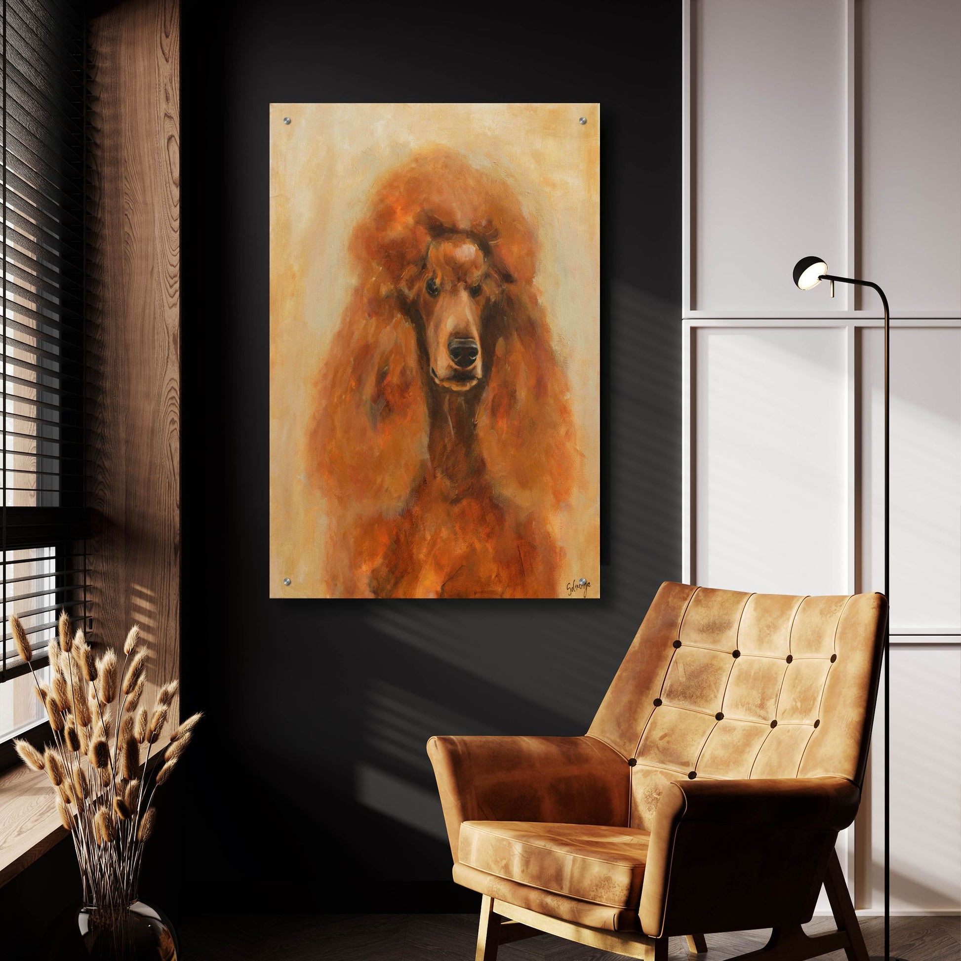 Epic Art 'Apricot Poodle' by Solveiga, Acrylic Glass Wall Art,24x36