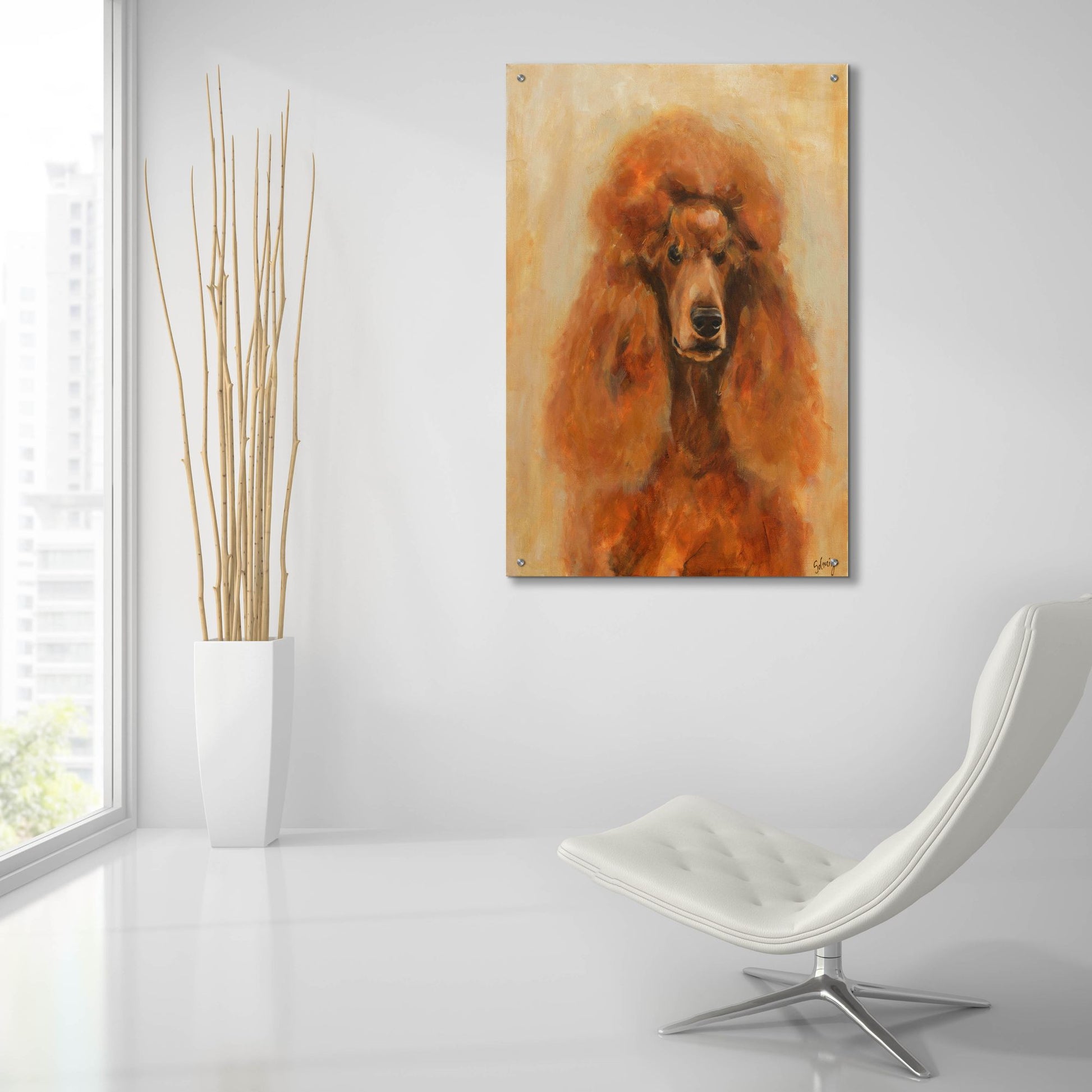 Epic Art 'Apricot Poodle' by Solveiga, Acrylic Glass Wall Art,24x36