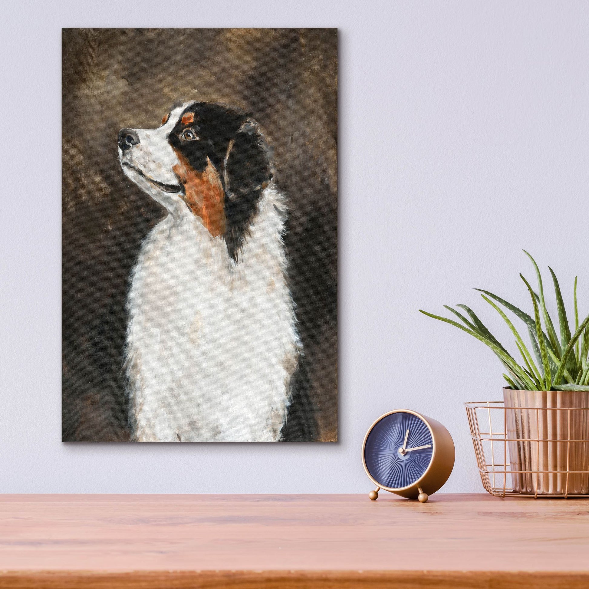 Epic Art 'Australian Shepherd' by Solveiga, Acrylic Glass Wall Art,12x16