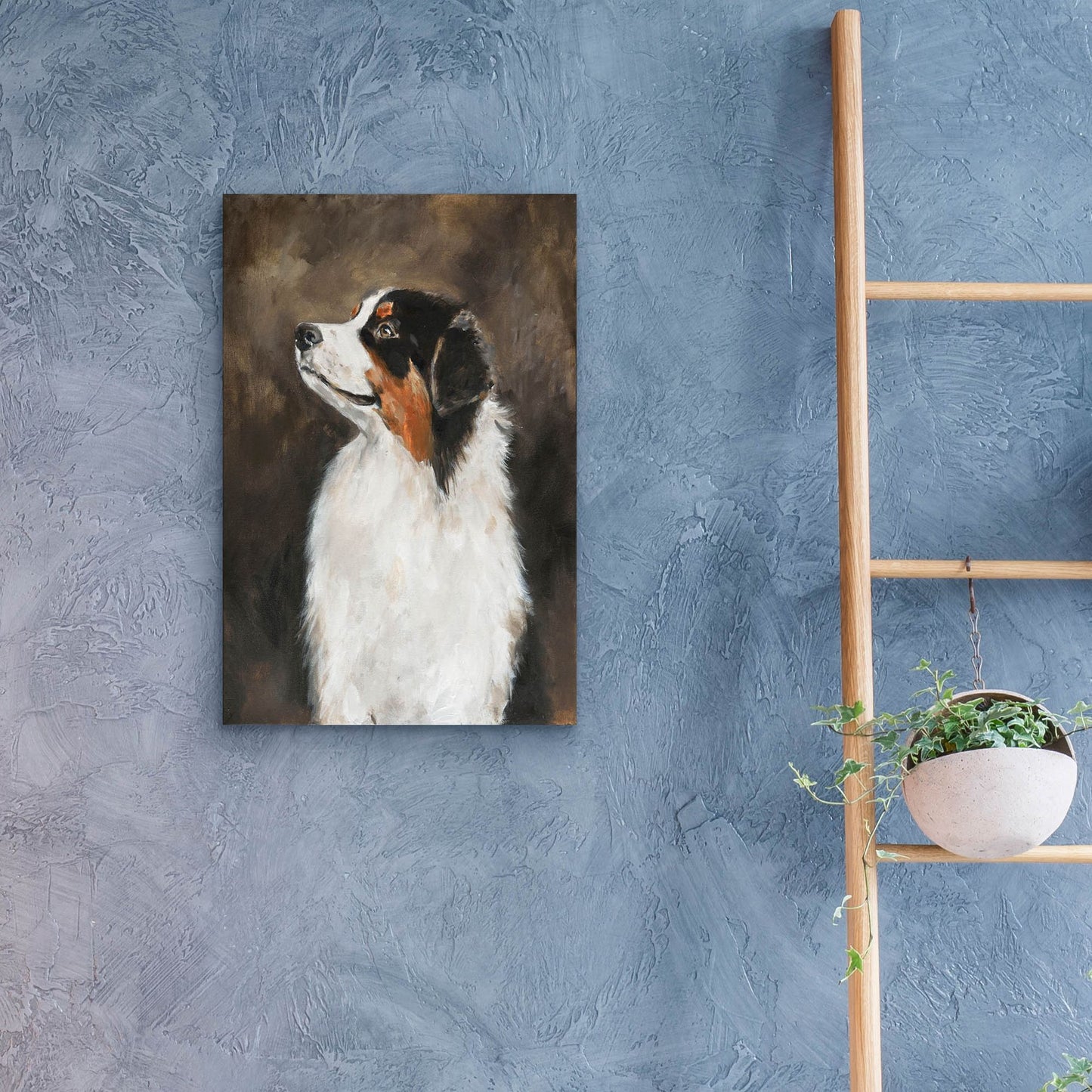 Epic Art 'Australian Shepherd' by Solveiga, Acrylic Glass Wall Art,16x24