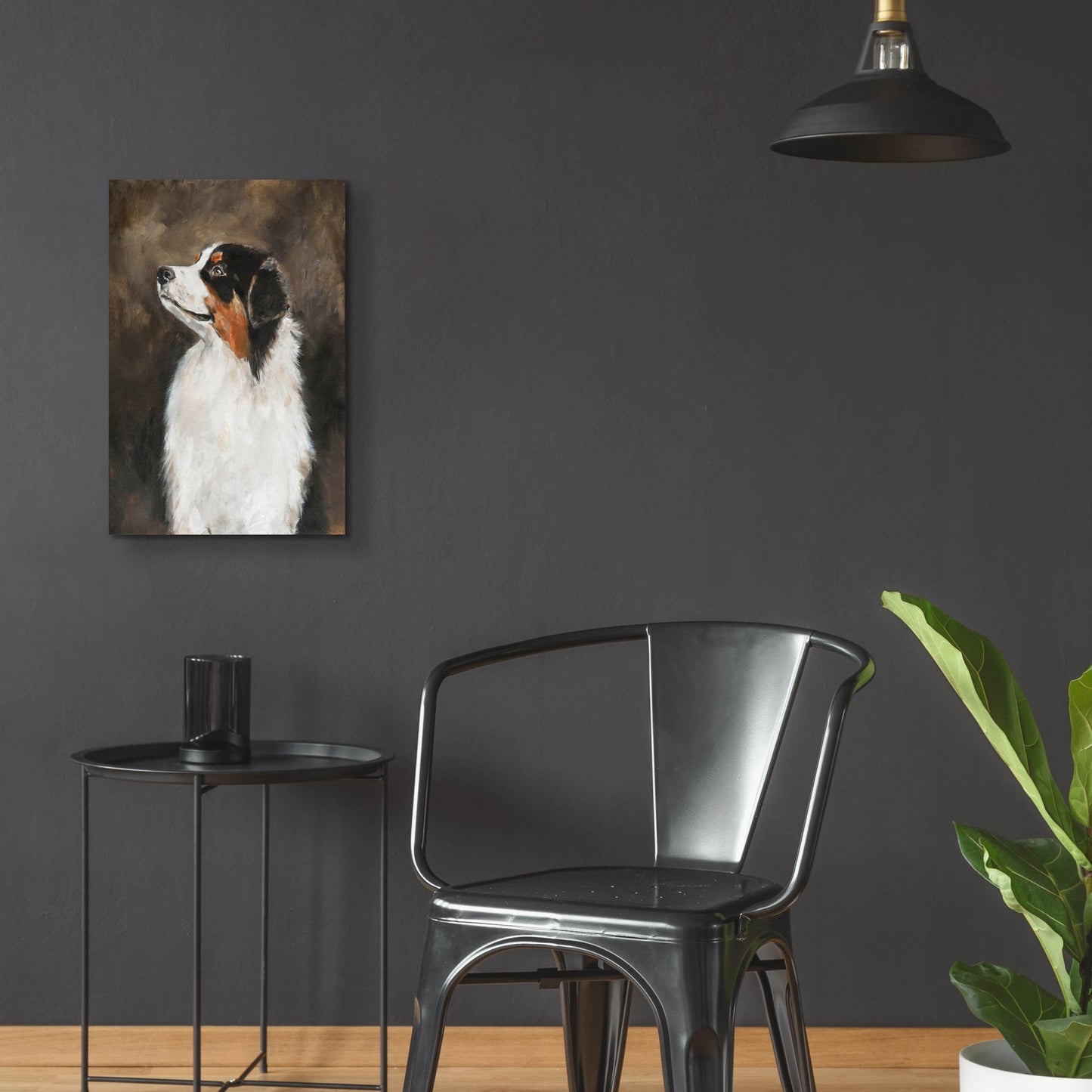 Epic Art 'Australian Shepherd' by Solveiga, Acrylic Glass Wall Art,16x24