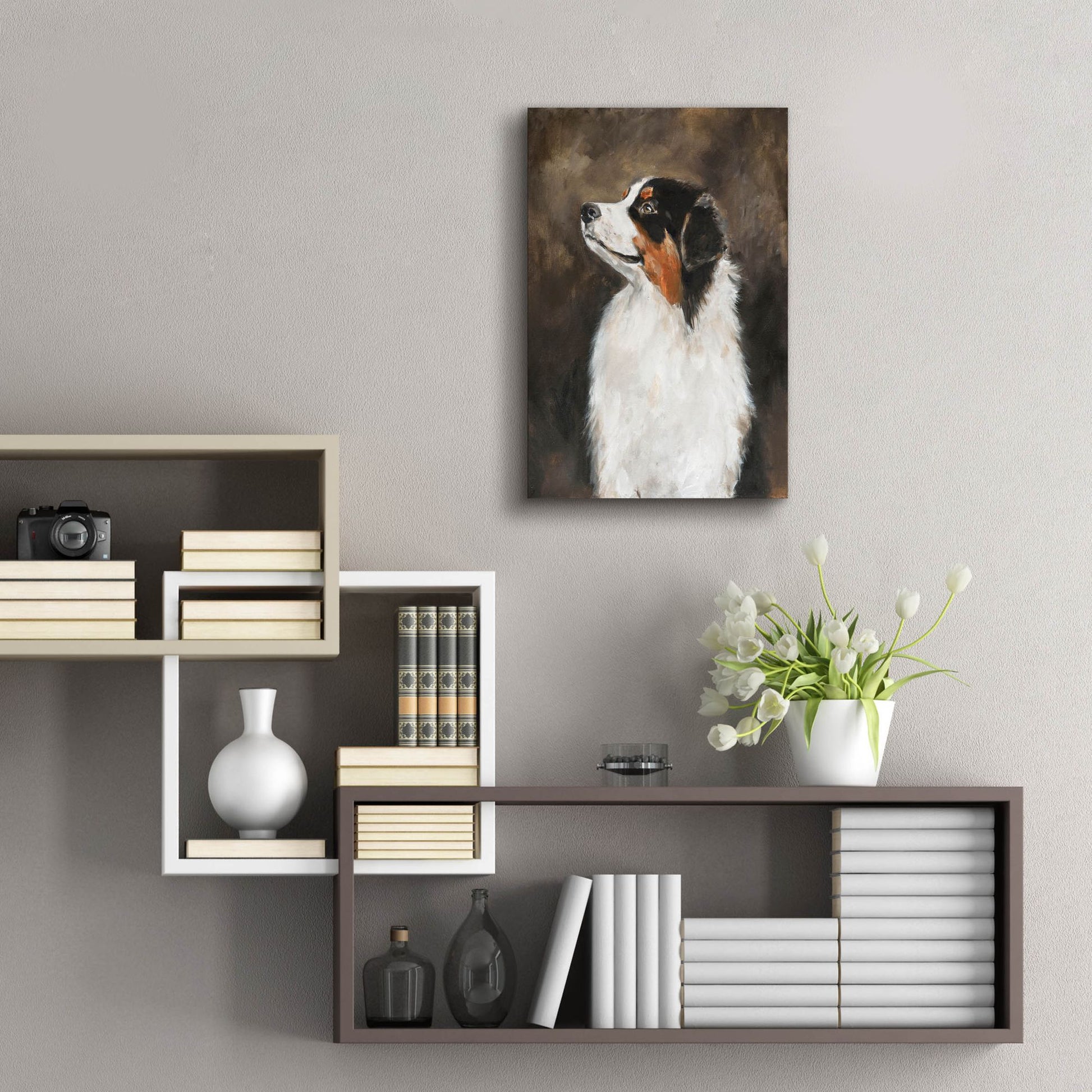 Epic Art 'Australian Shepherd' by Solveiga, Acrylic Glass Wall Art,16x24