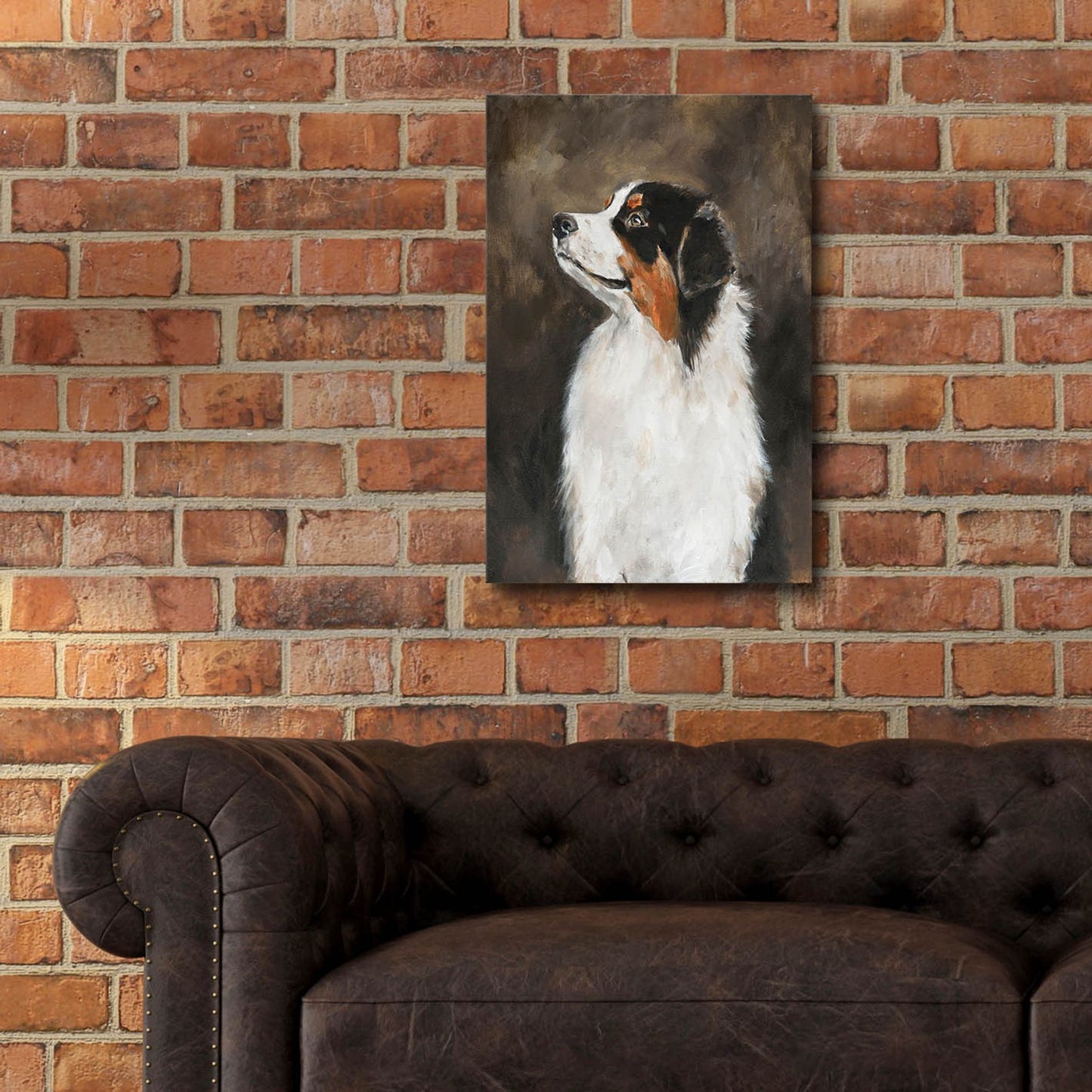 Epic Art 'Australian Shepherd' by Solveiga, Acrylic Glass Wall Art,16x24